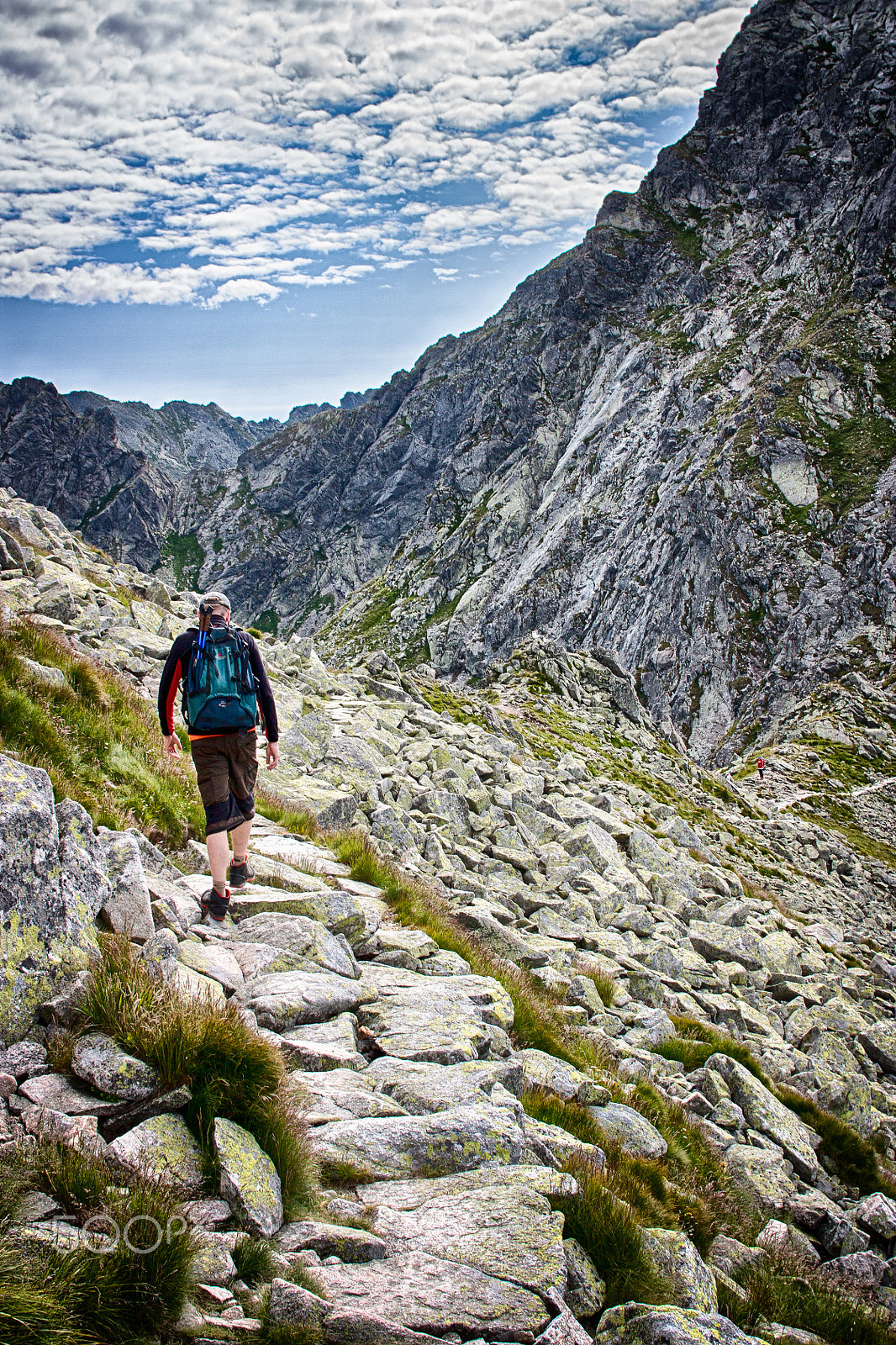 Sigma 30mm f/1.4 DC HSM sample photo. Lonely roam in the mountains photography