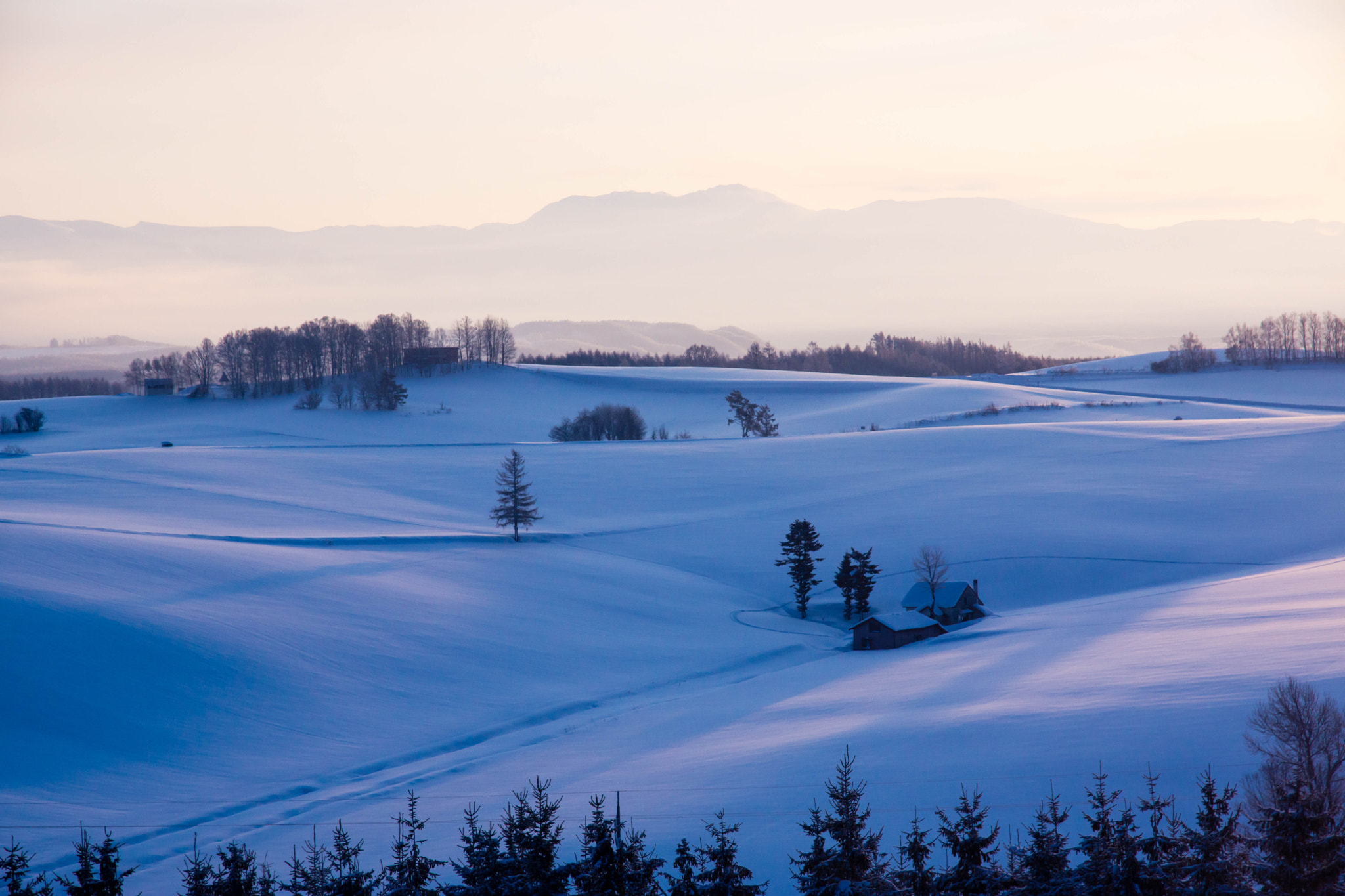 Sony Alpha NEX-7 sample photo. Beautiful morning photography