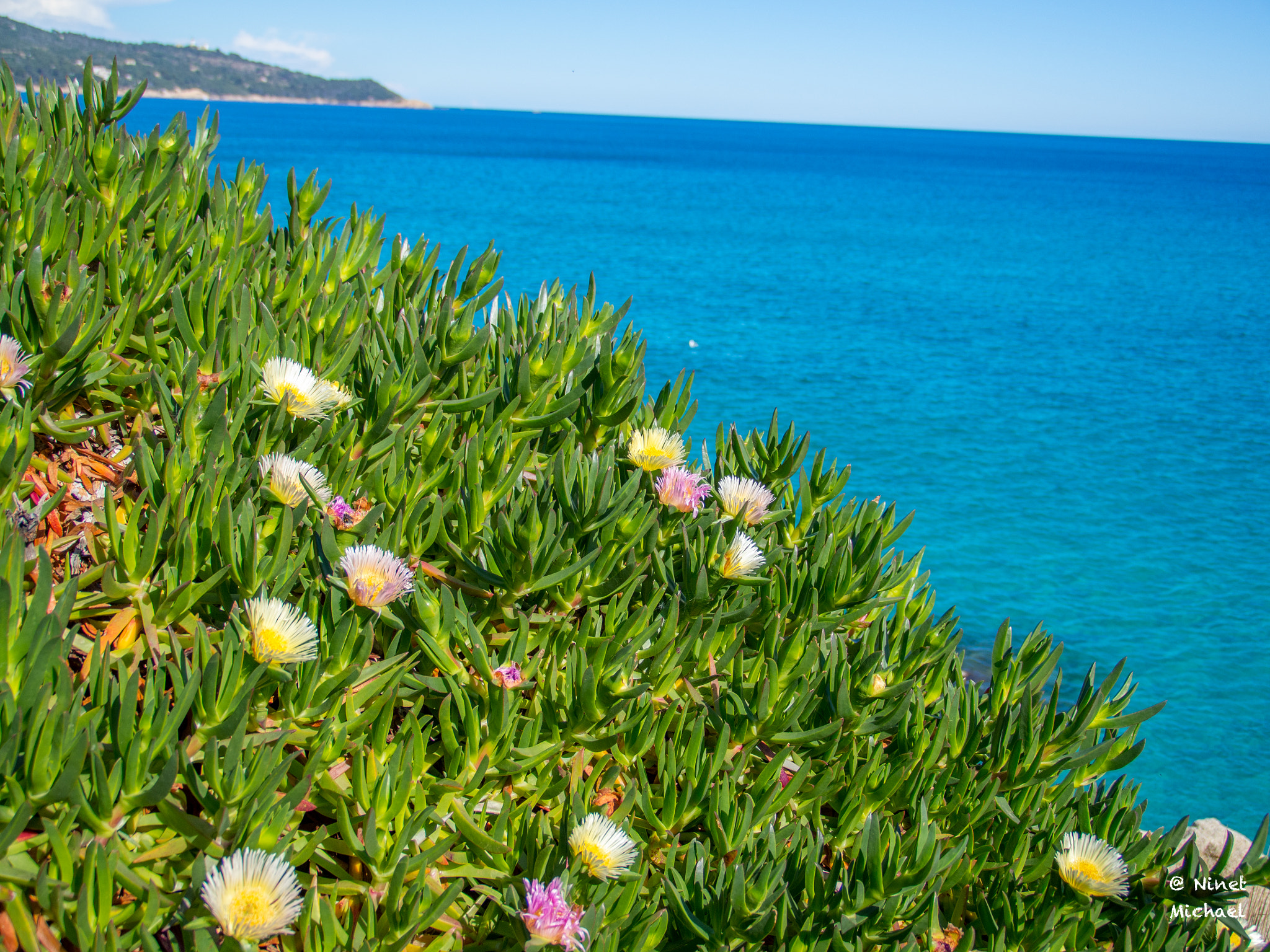 Tamron 14-150mm F3.5-5.8 Di III sample photo. L'escalet photography