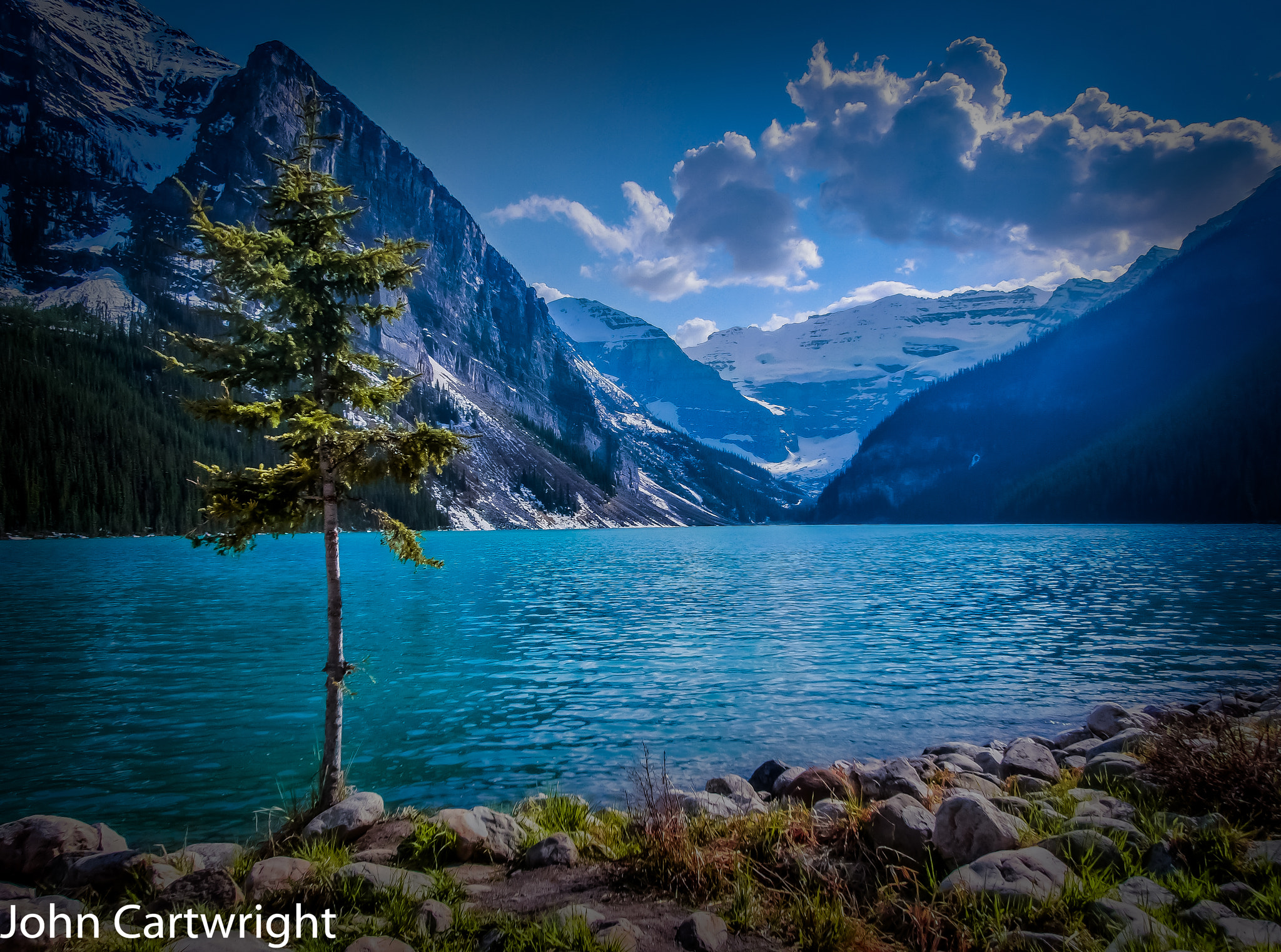 CASIO EX-ZR100 sample photo. Lone tree lake louise photography