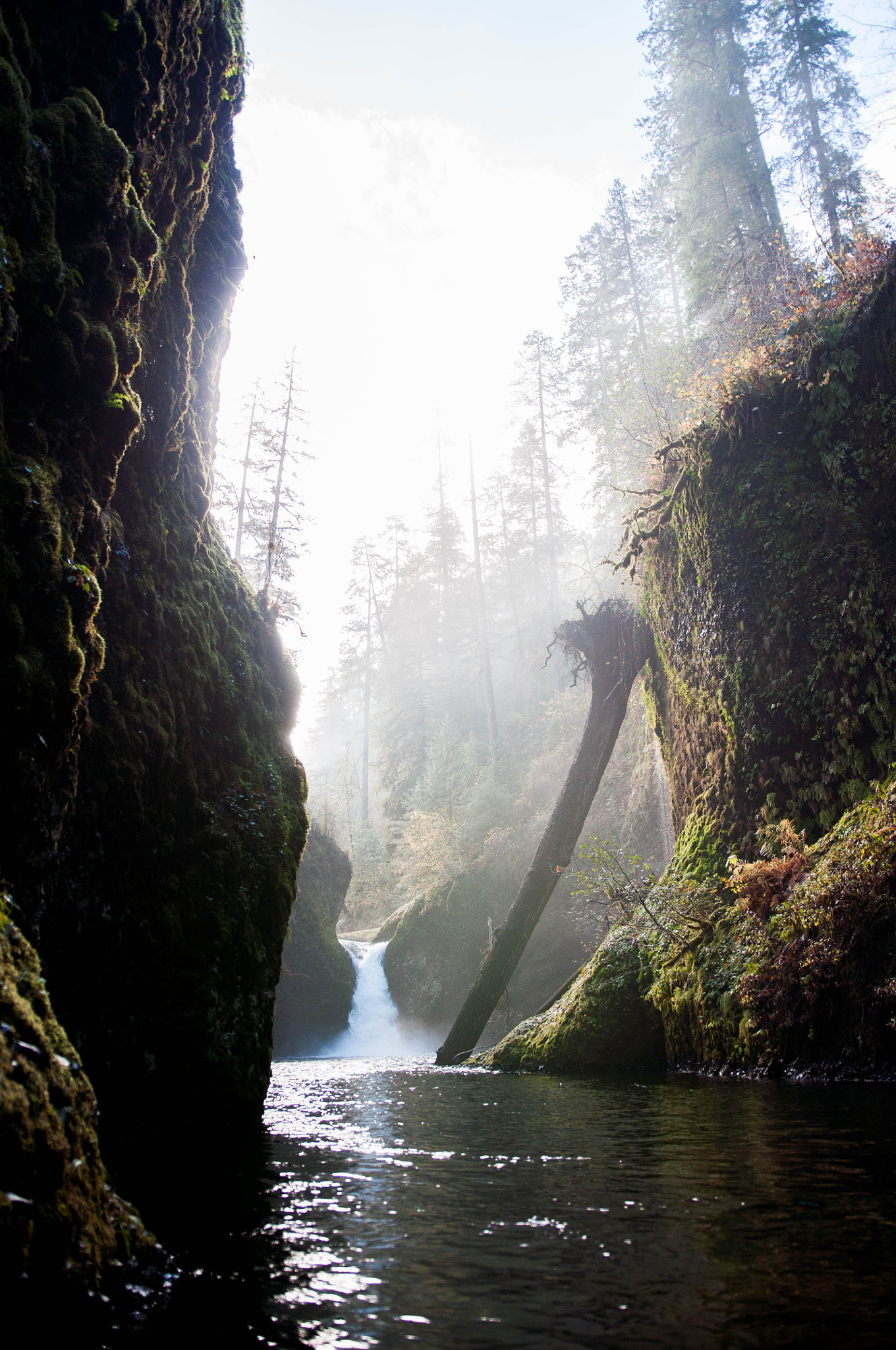 Nikon D5000 + Sigma 18-35mm F1.8 DC HSM Art sample photo. Punchbowl falls | or photography