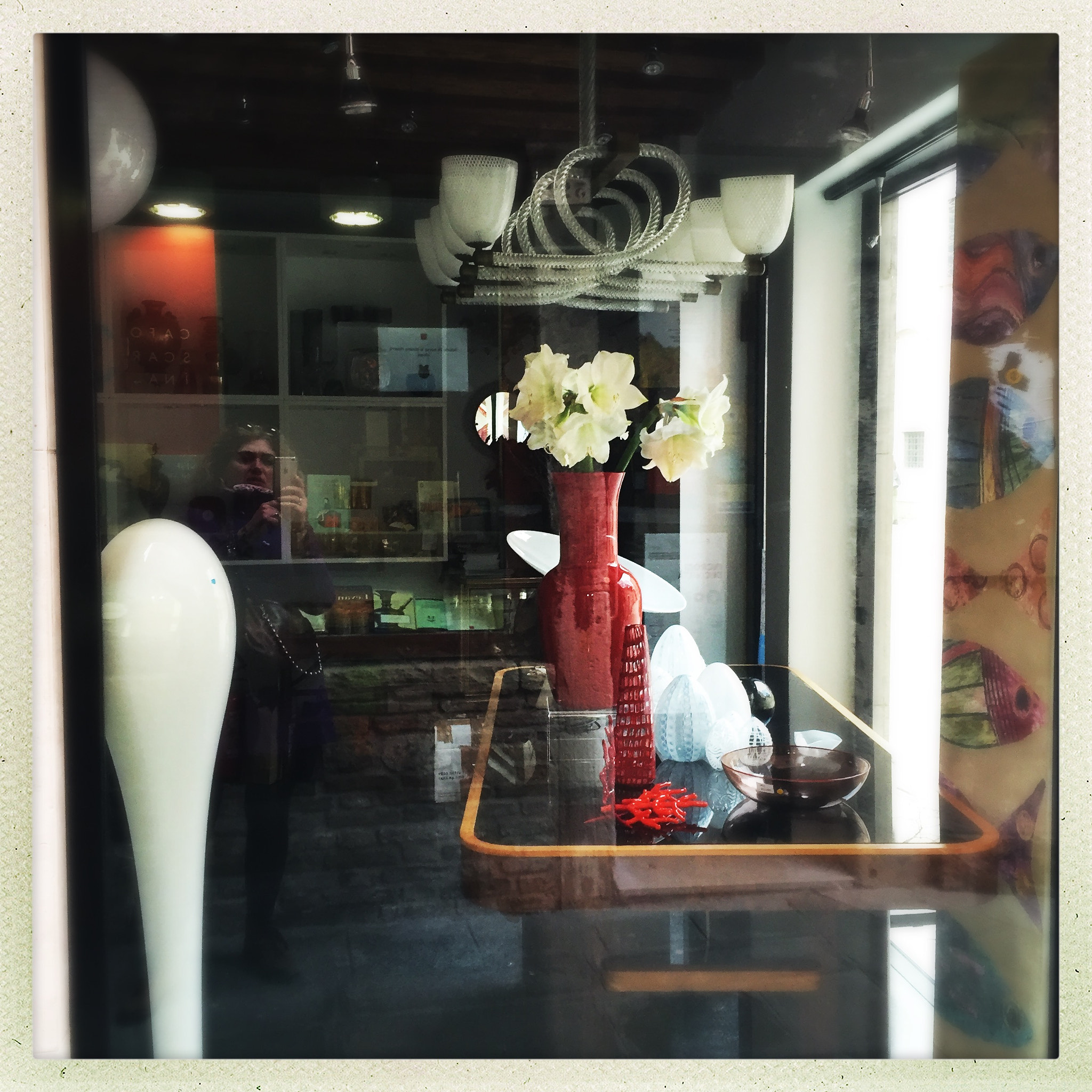 Hipstamatic 302 sample photo. Flowers behind glass photography