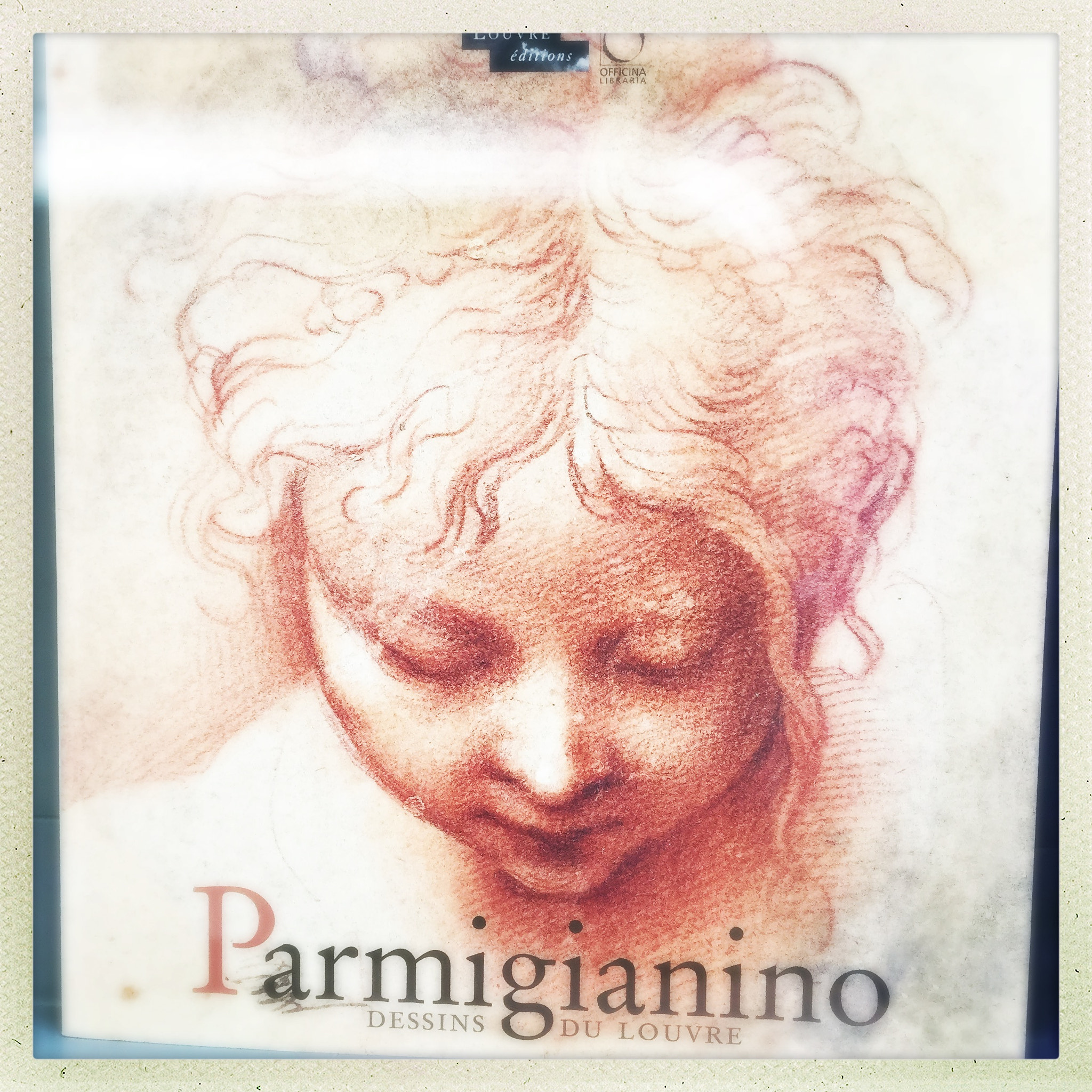 Hipstamatic 302 sample photo. Parmigianino photography