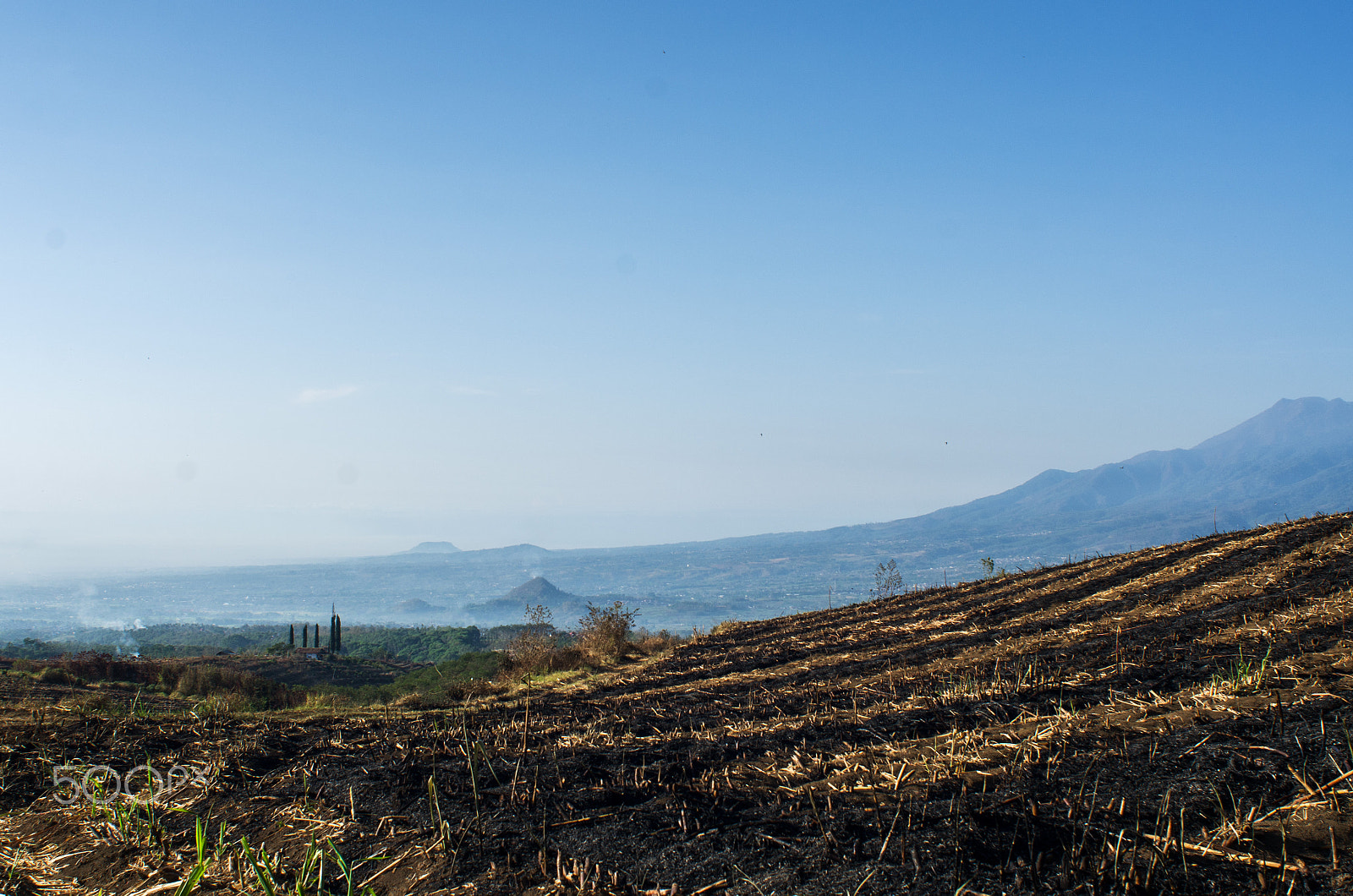 Nikon D7000 + AF Nikkor 24mm f/2.8 sample photo. The earth is getting sick! photography