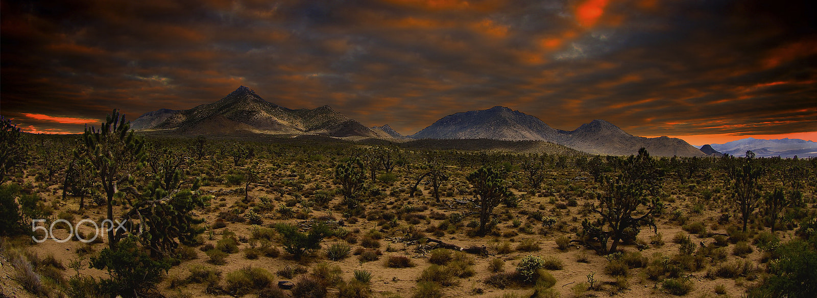 Canon EF 8-15mm F4L Fisheye USM sample photo. The dessert before the storm photography