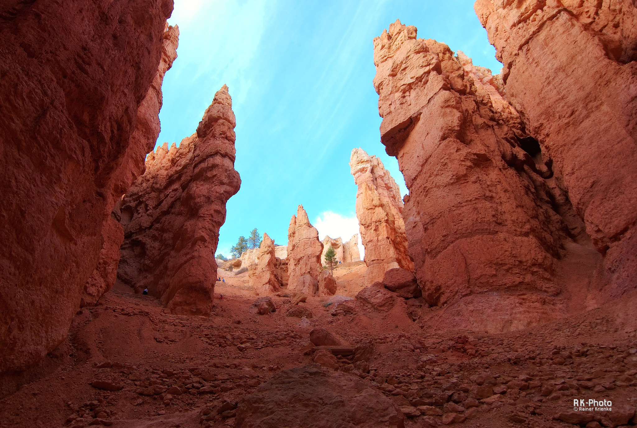 Nikon D80 + Tokina AT-X Pro 11-16mm F2.8 DX sample photo. Bryce canyon, looking up to the sky photography