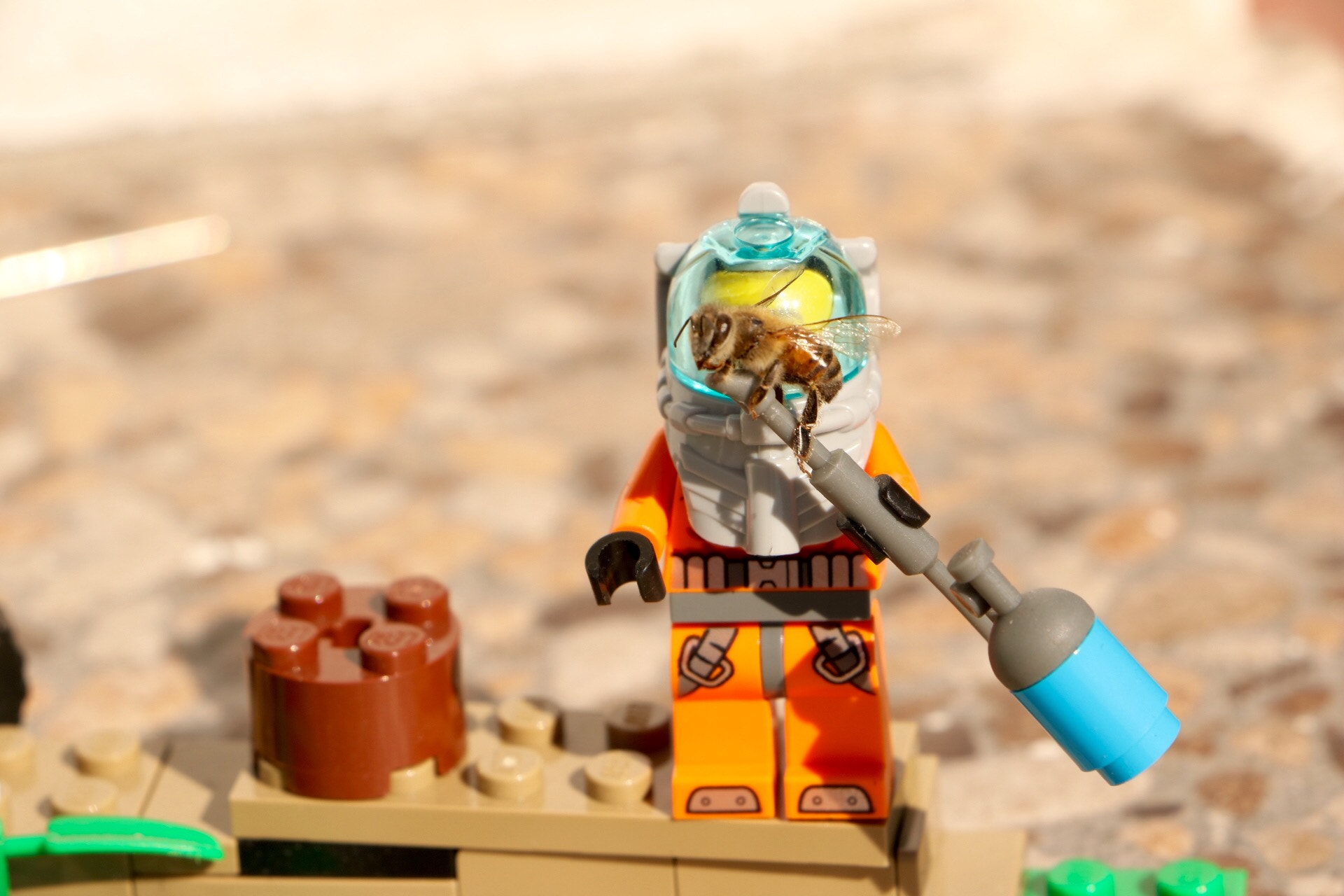 Canon EOS 760D (EOS Rebel T6s / EOS 8000D) sample photo. Bee&lego photography