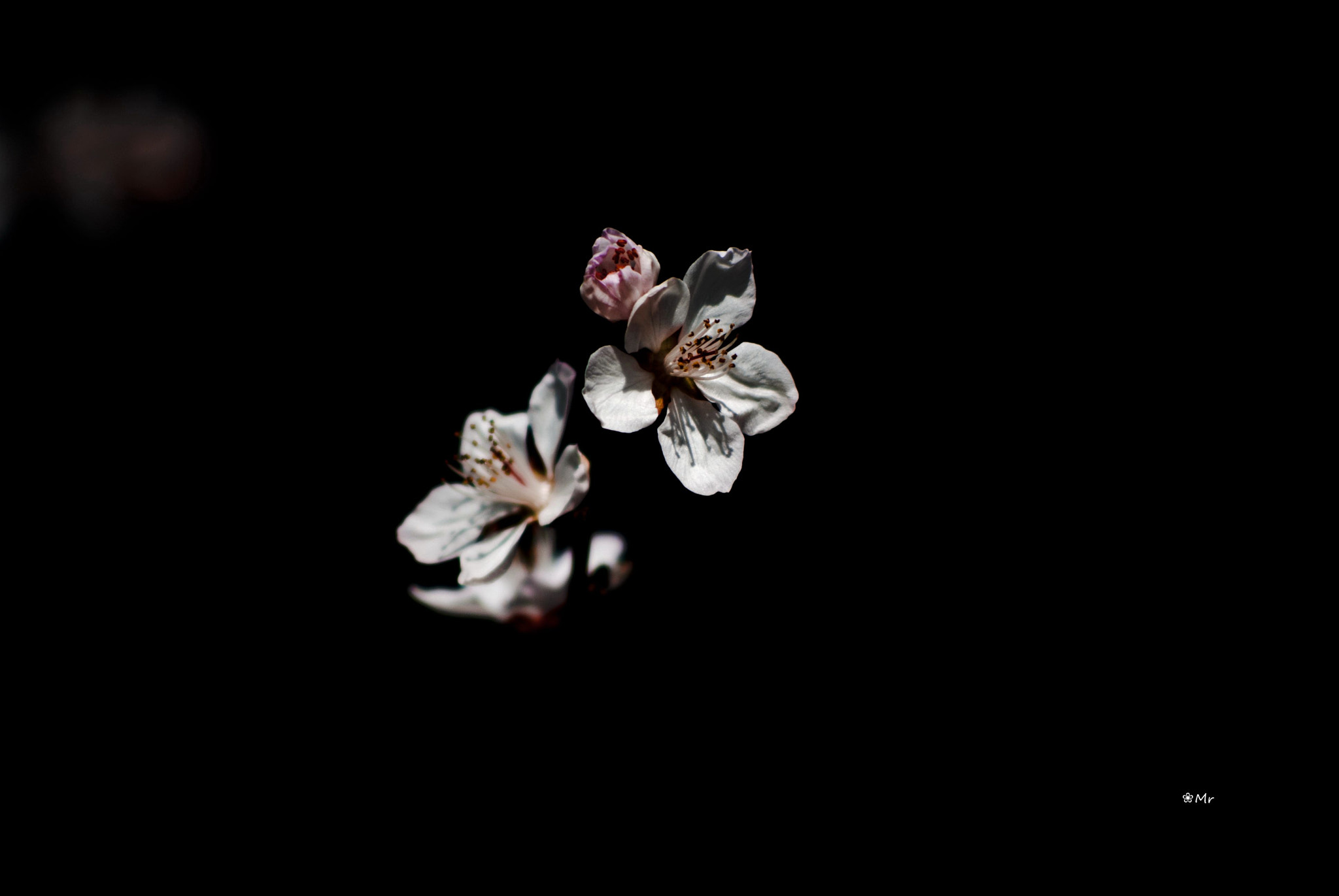 AF Nikkor 70-210mm f/4-5.6D sample photo. 副本 副本 photography