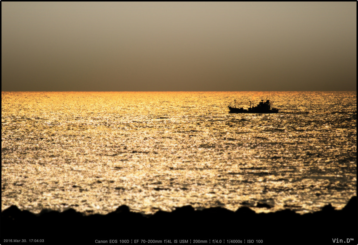 Canon EOS 100D (EOS Rebel SL1 / EOS Kiss X7) + Canon EF 70-200mm F4L IS USM sample photo. Sea of gold photography