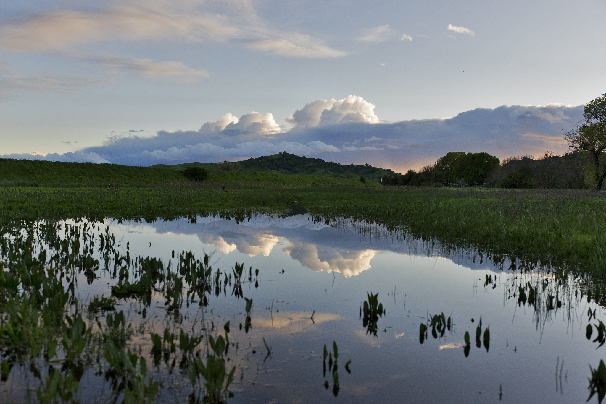 Nikon D610 + Nikkor 45mm f/2.8 P sample photo. Lagoon valley photography