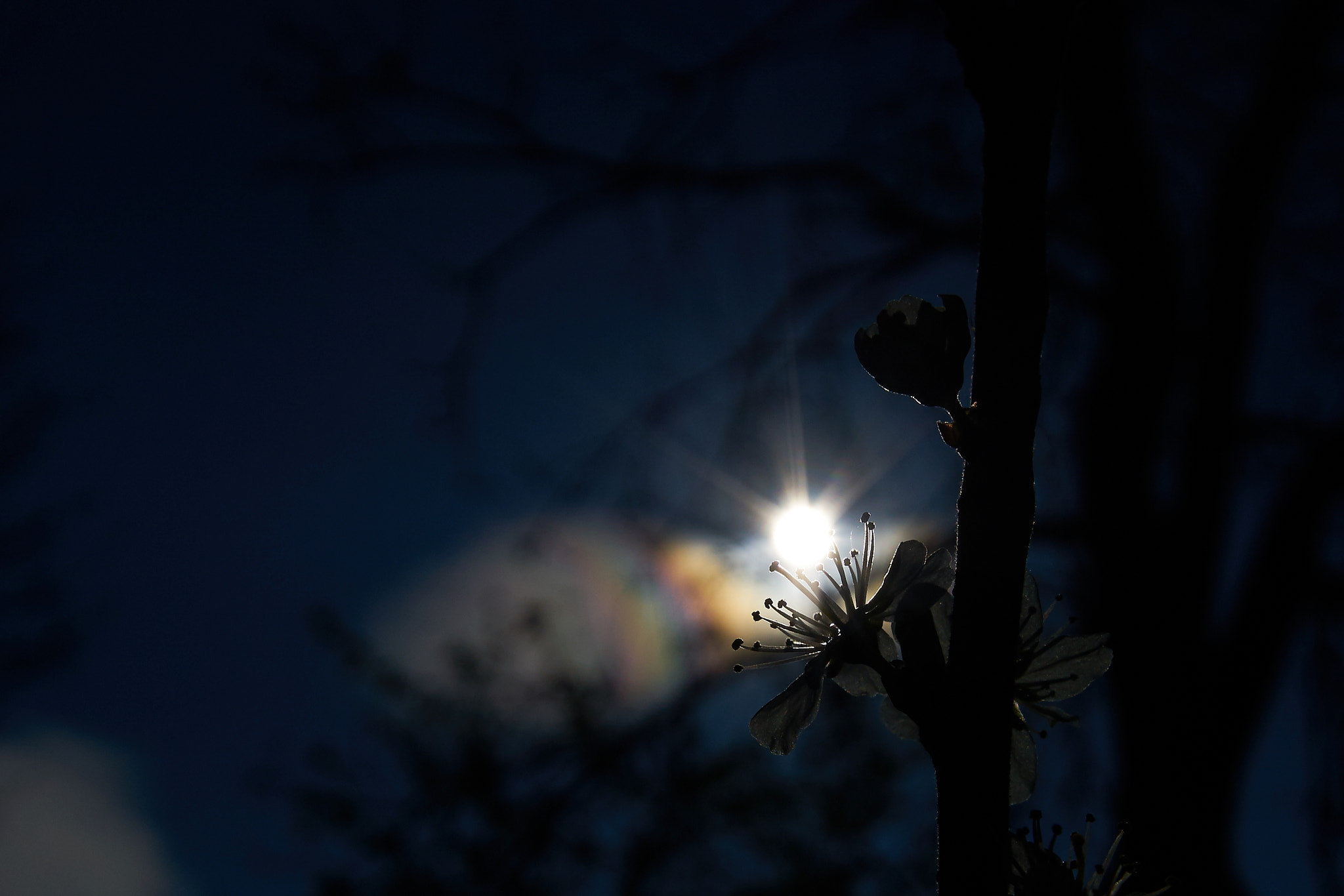 Sony ILCA-77M2 + 10-20mm F3.5 sample photo. Solar explosion photography