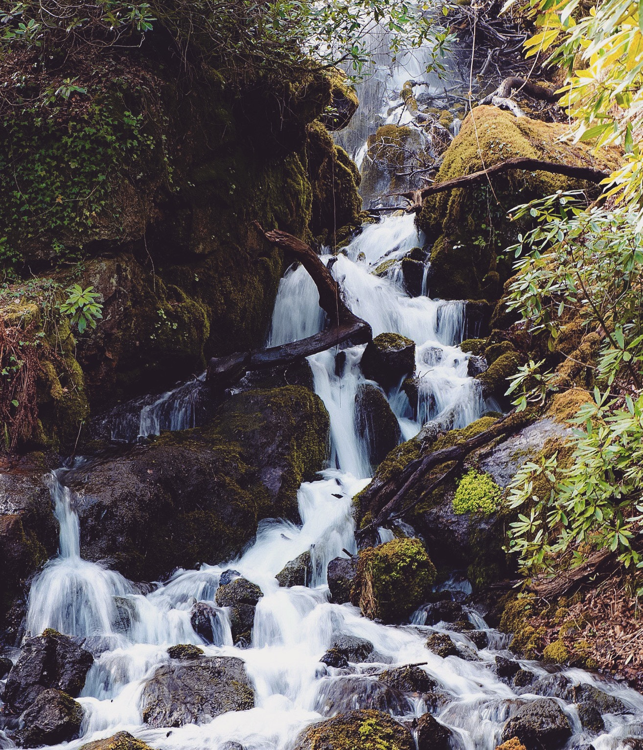 Sony Alpha a3000 + Tamron 18-200mm F3.5-6.3 Di III VC sample photo. Dartmoor waterfall photography