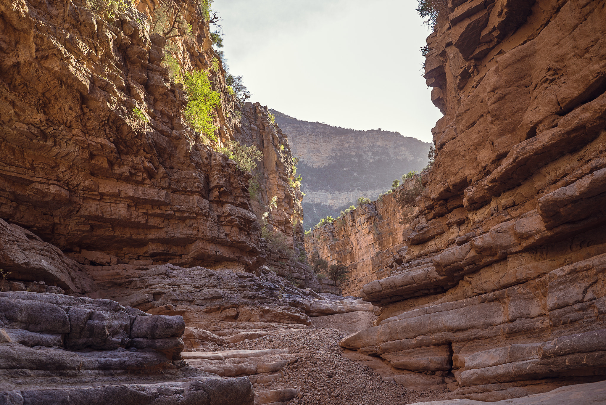 Sony a7S II + Sony FE 28mm F2 sample photo. Paradise canyon photography