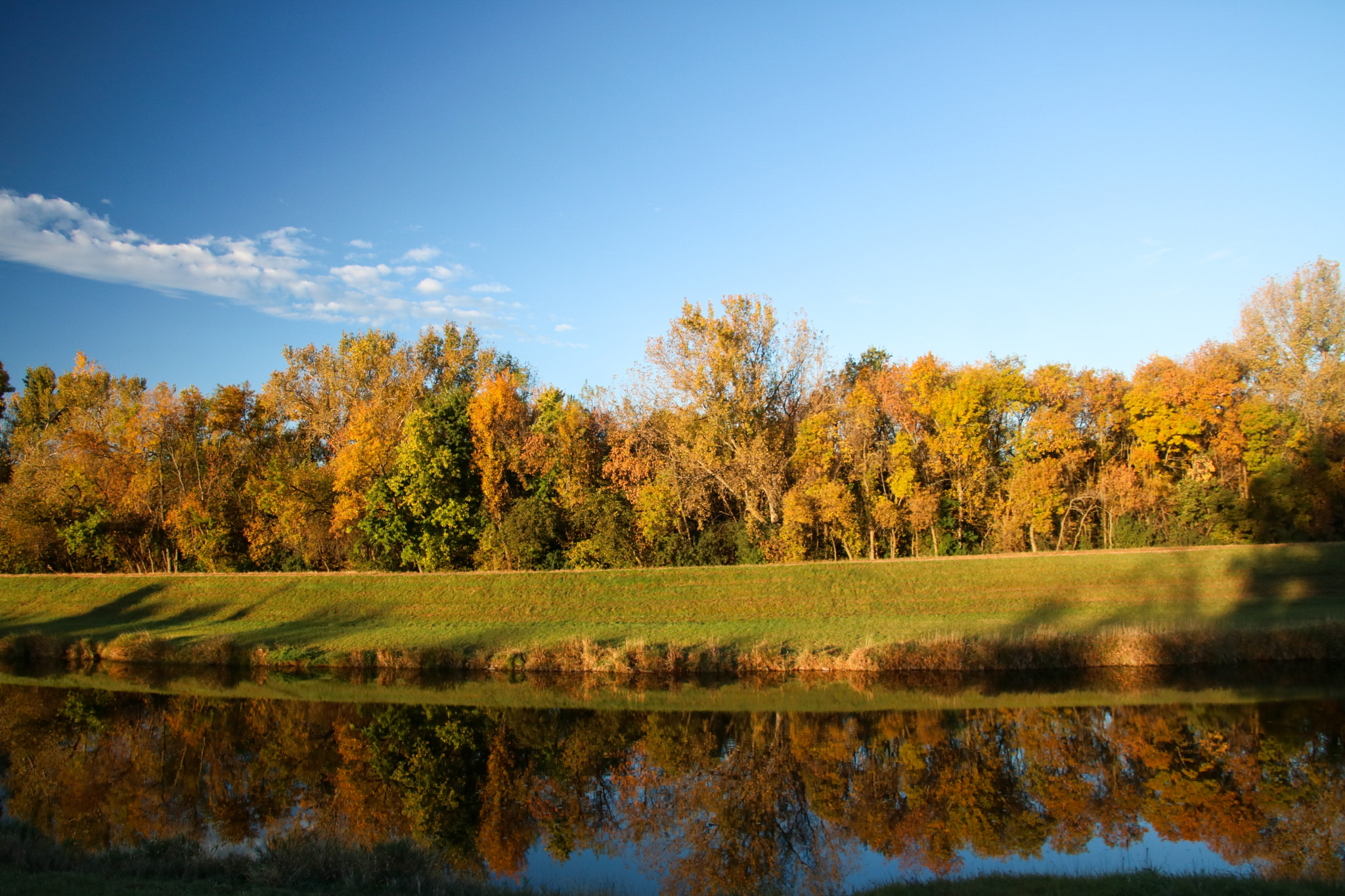 Canon EOS 760D (EOS Rebel T6s / EOS 8000D) sample photo. Fall trees on big sioux river photography