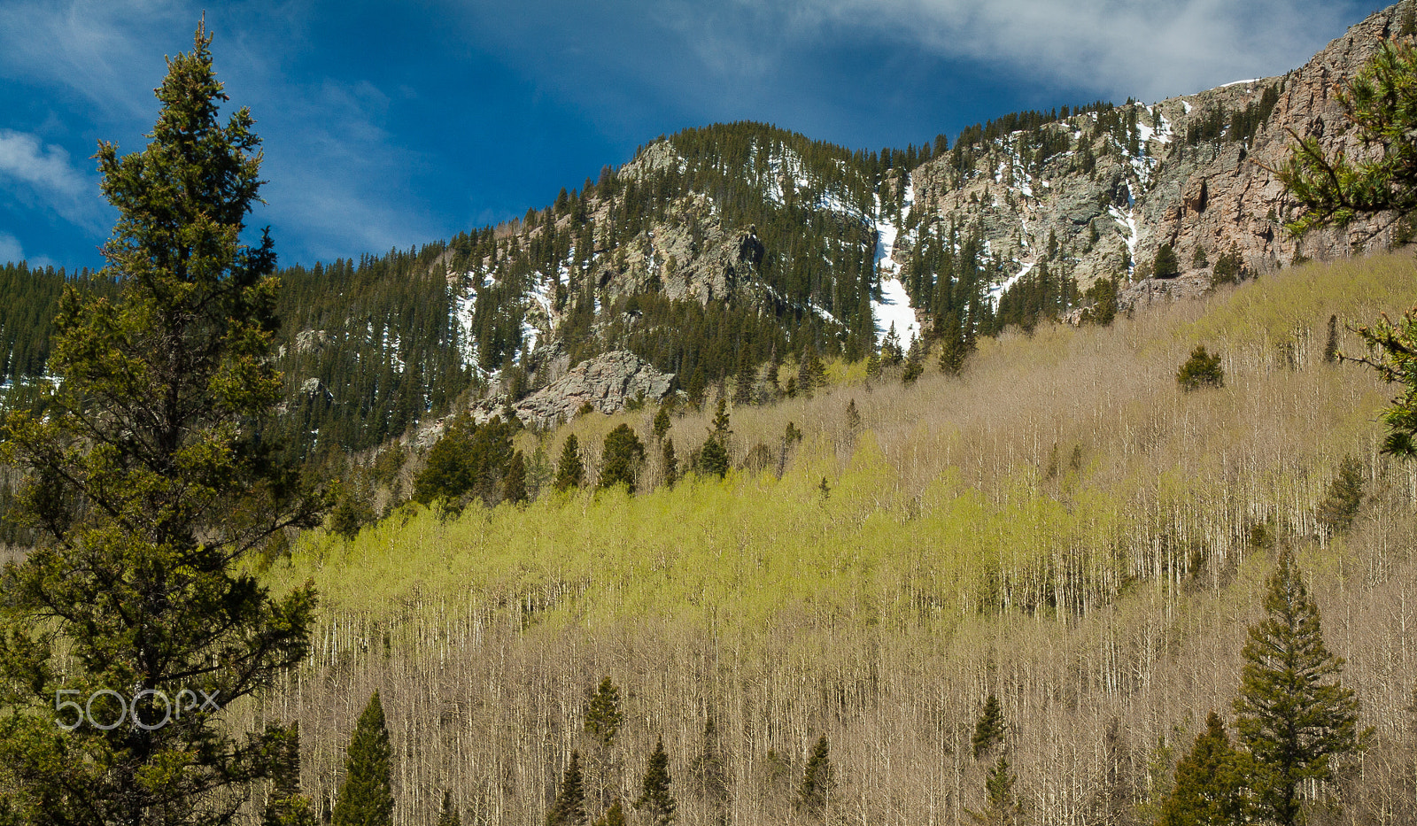 Tamron AF 28-200mm F3.8-5.6 XR Di Aspherical (IF) Macro sample photo. Aspen dawn photography