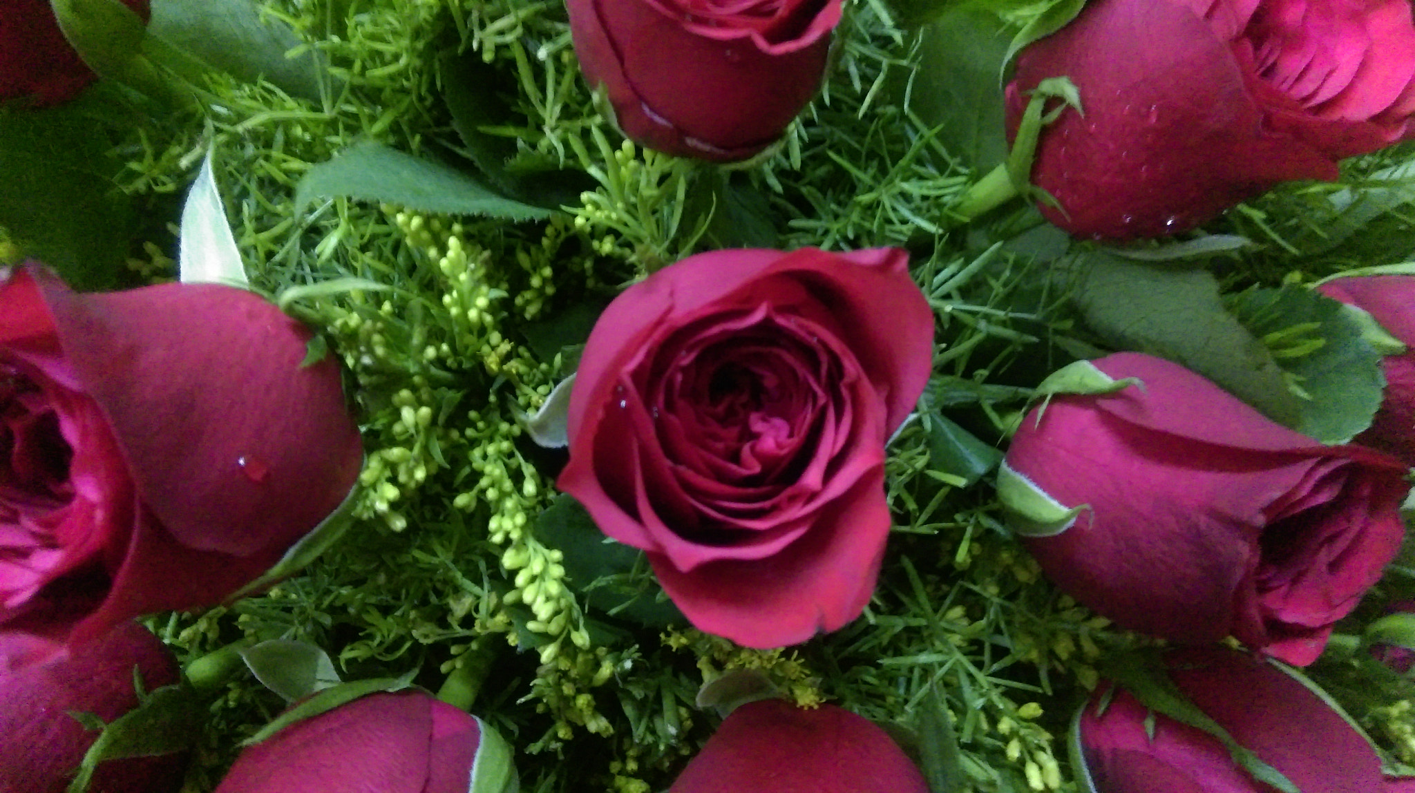 HTC ONE (E8) DUAL SIM sample photo. Rose bunch photography