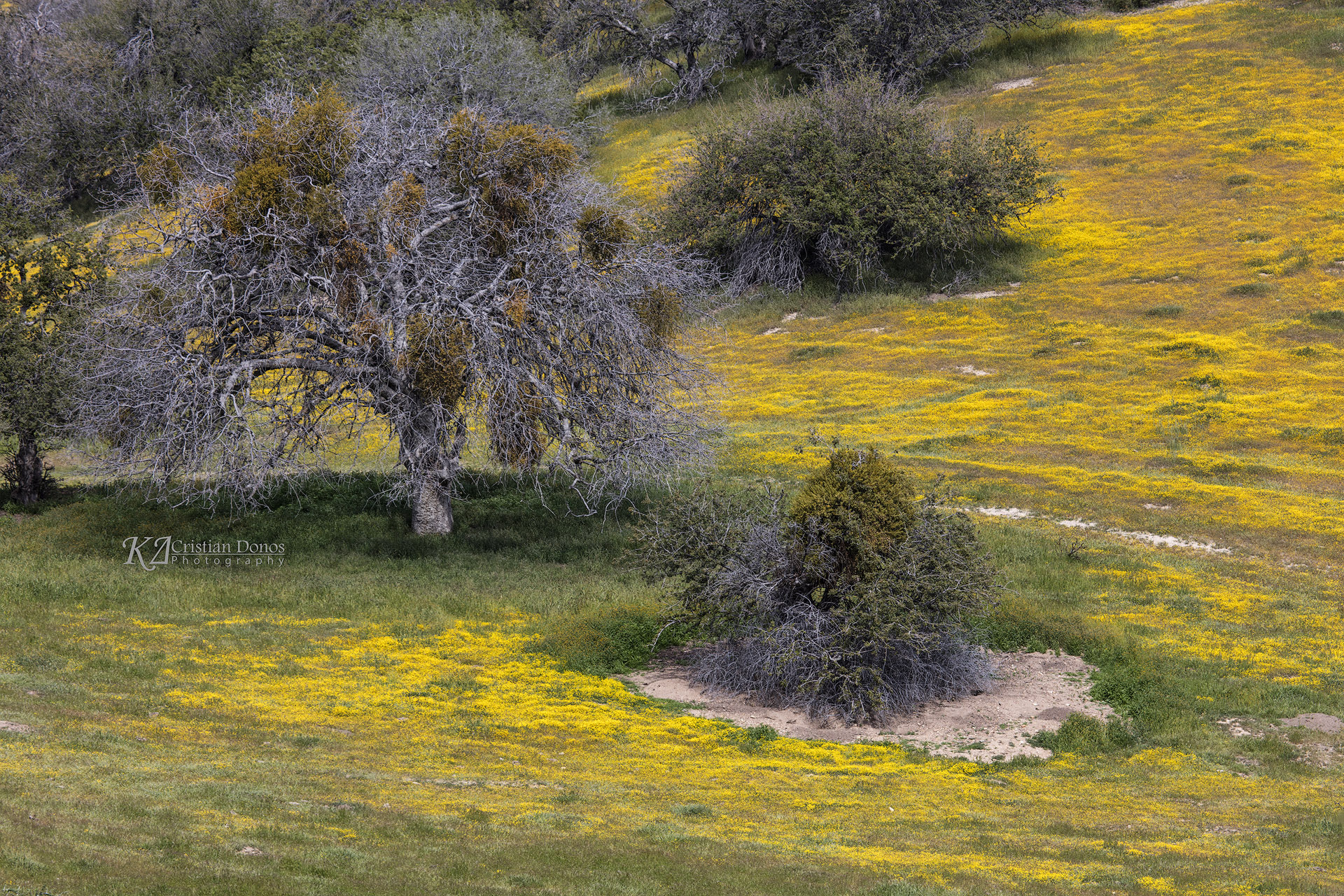 Canon EF 100-400mm F4.5-5.6L IS USM sample photo. Scenery along hwy 58 photography