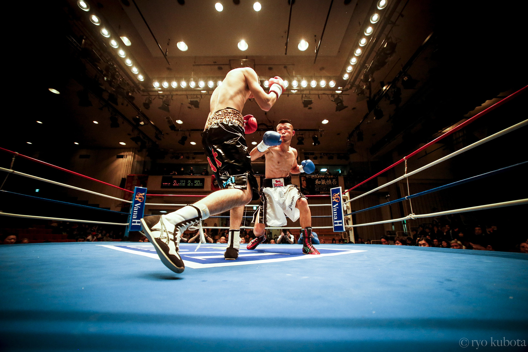 Canon EOS-1D X + Sigma 14mm f/2.8 EX Aspherical HSM sample photo. Boxing photography