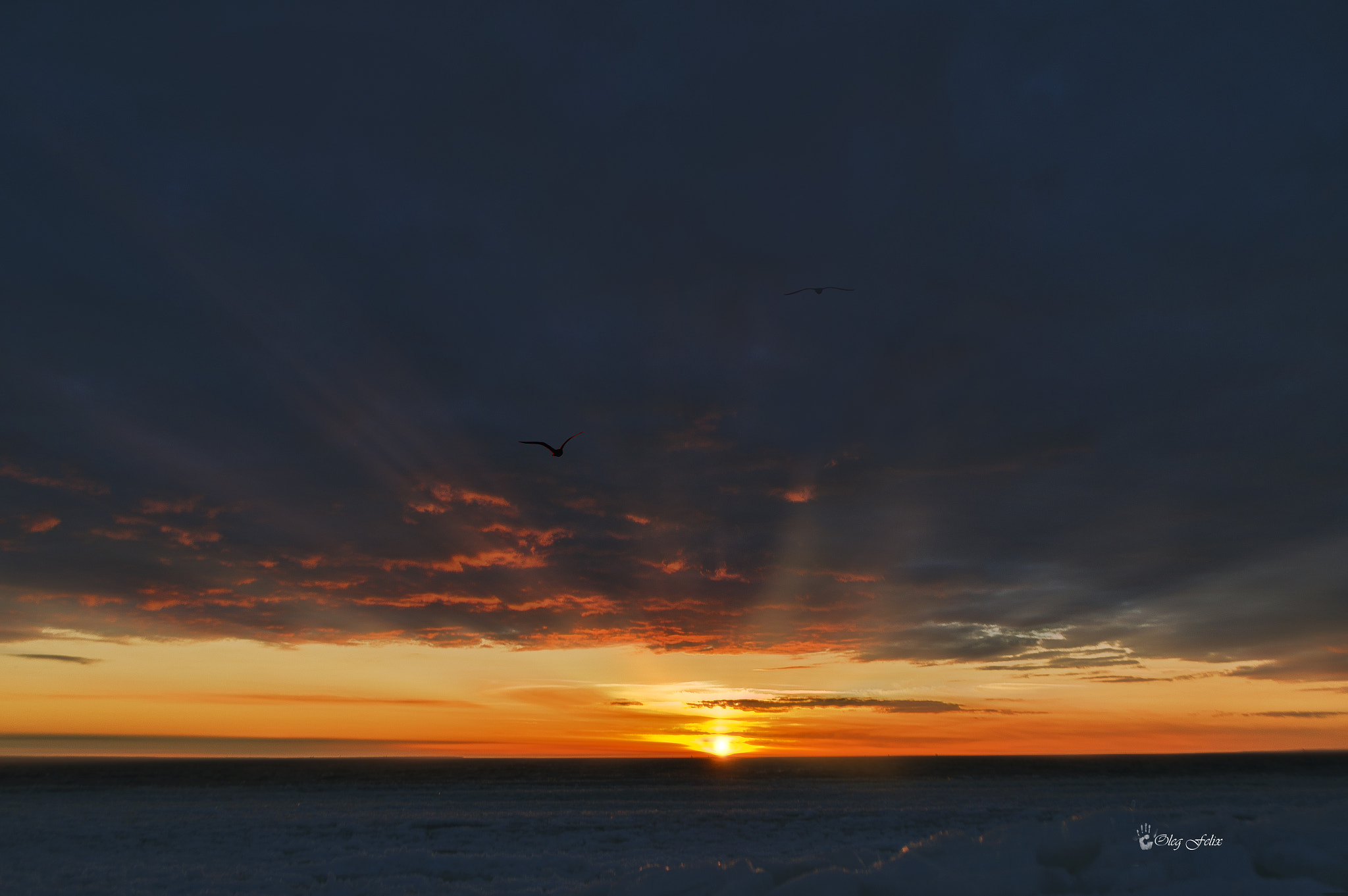 Sony SLT-A37 sample photo. The sun sets into the sea. photography