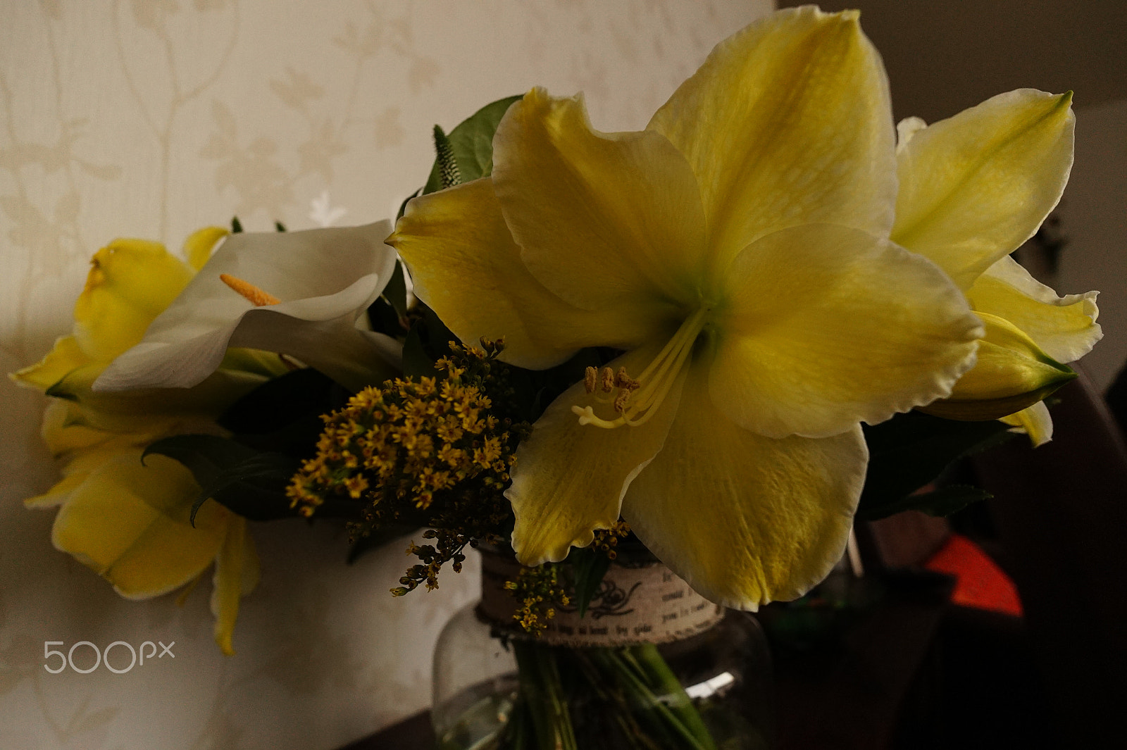 Sony Alpha a5000 (ILCE 5000) + ZEISS Touit 12mm F2.8 sample photo. Yellow amaryllis photography