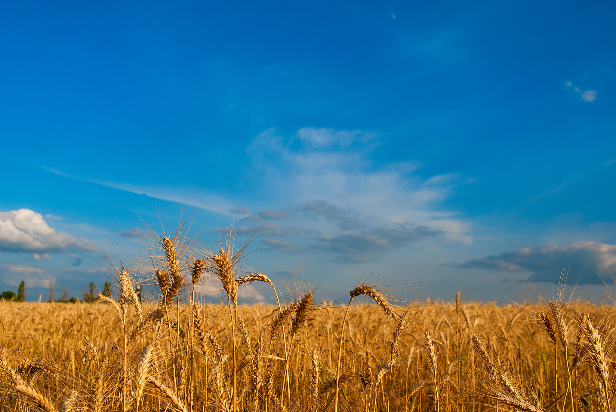 Sigma 17-35mm F2.8-4 EX DG  Aspherical HSM sample photo. Ukrainian colours photography
