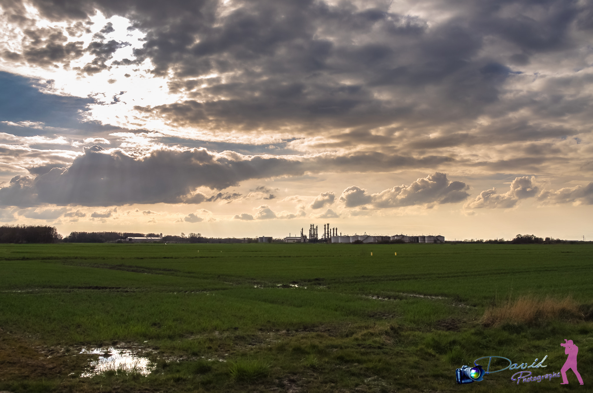 Pentax K-5 sample photo