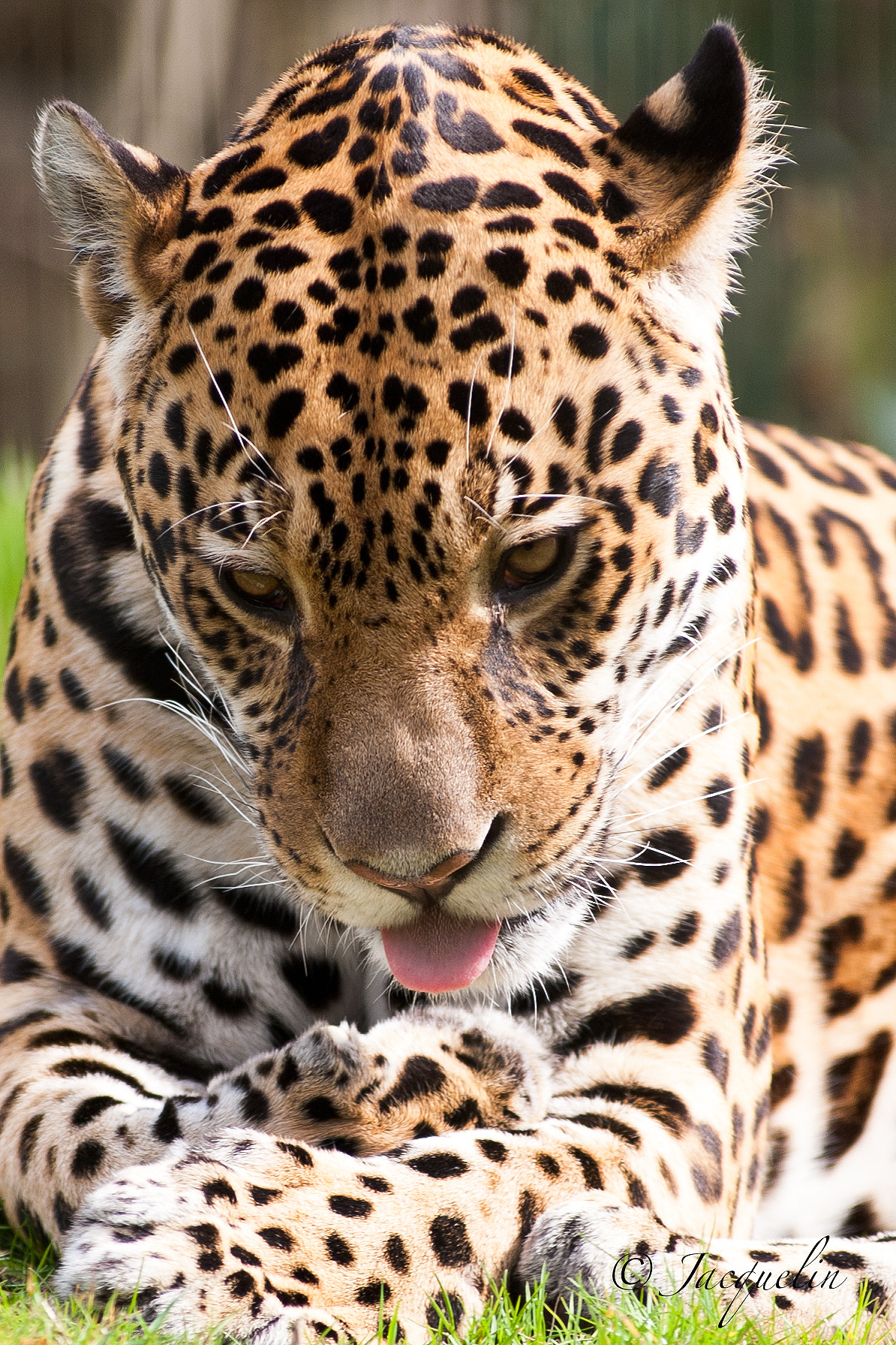 AF Zoom-Nikkor 80-200mm f/2.8 ED sample photo. Clean ! photography