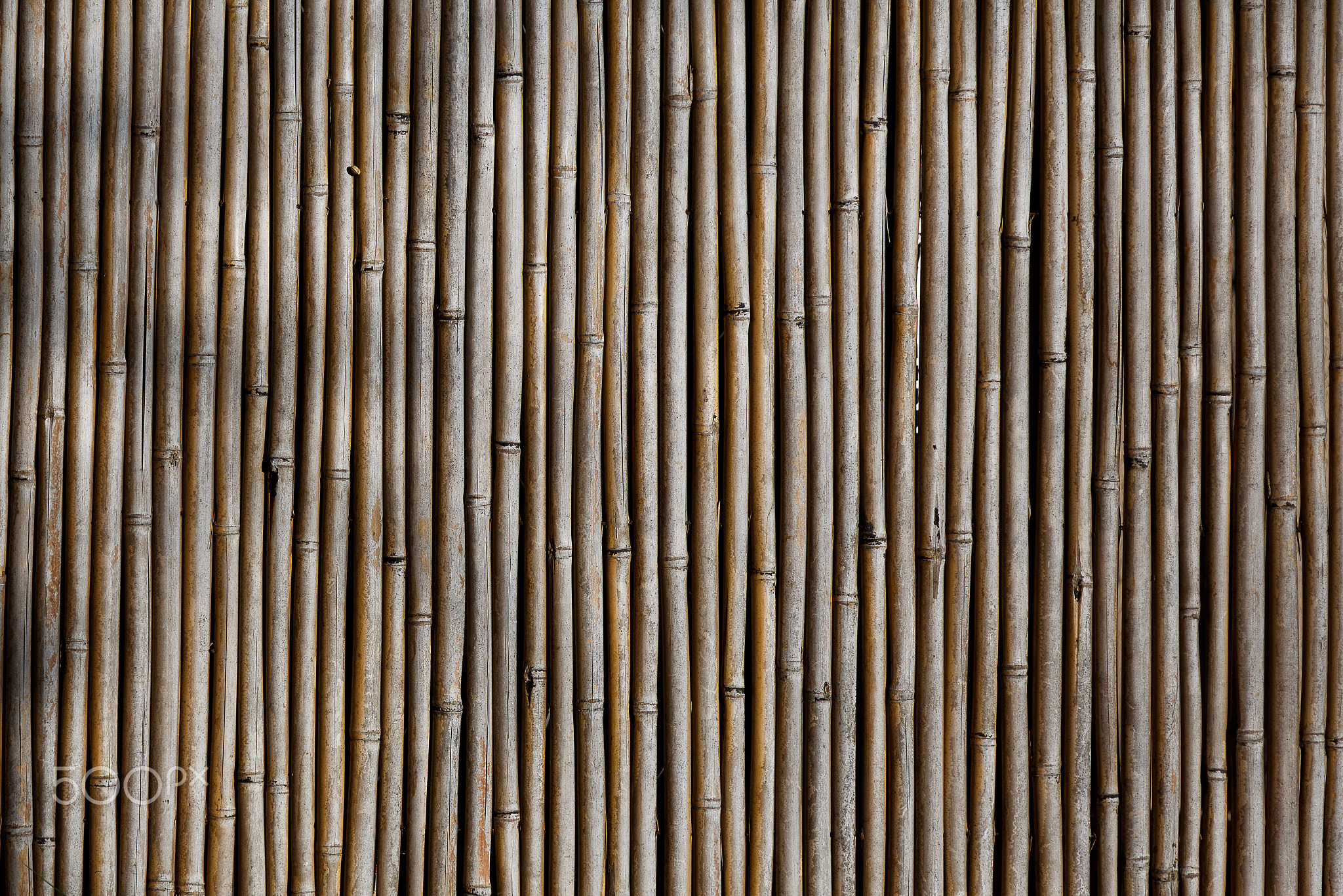 bamboo wall texture background