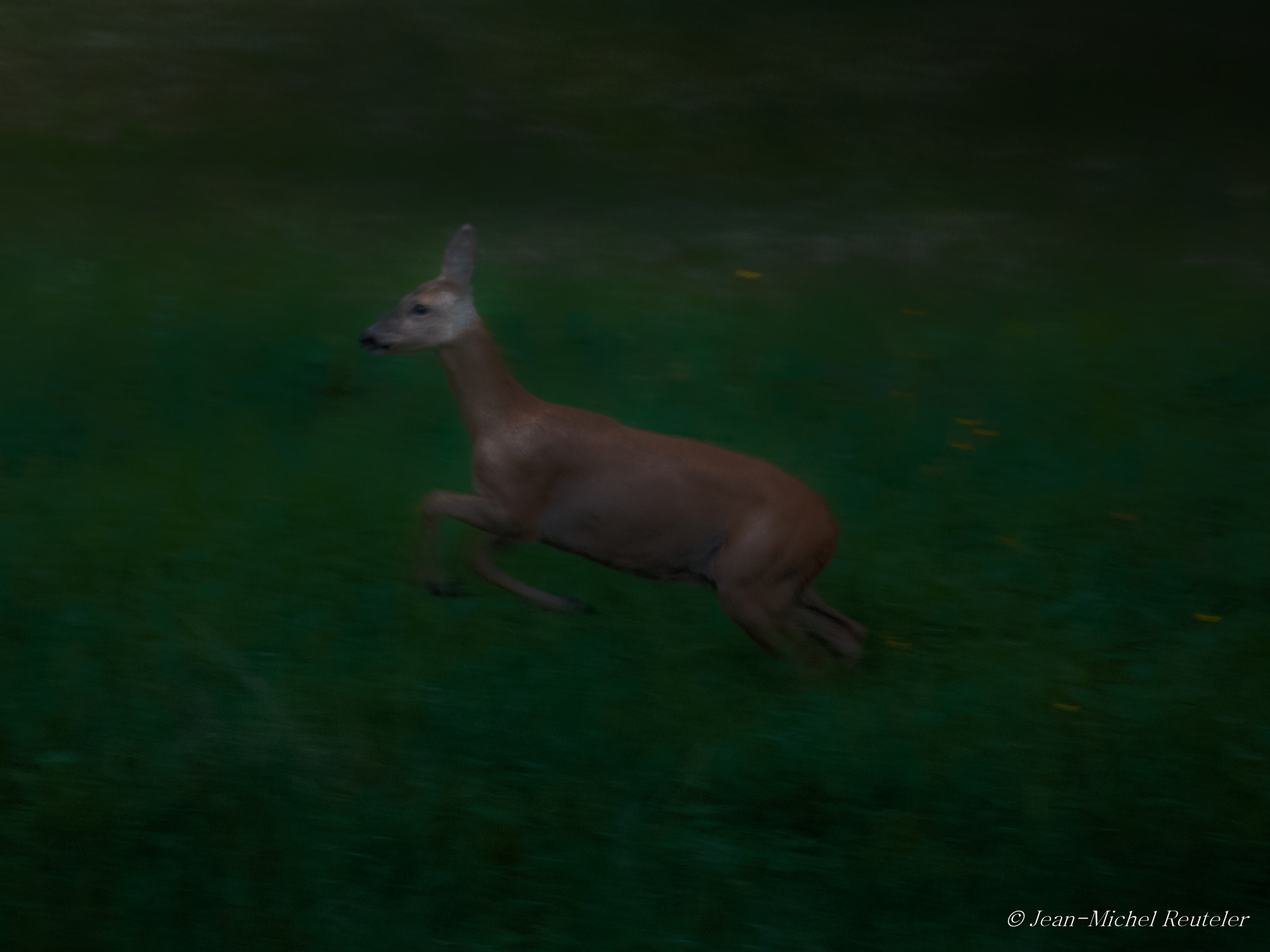 Panasonic Lumix DMC-GH4 sample photo. Courant d'air photography