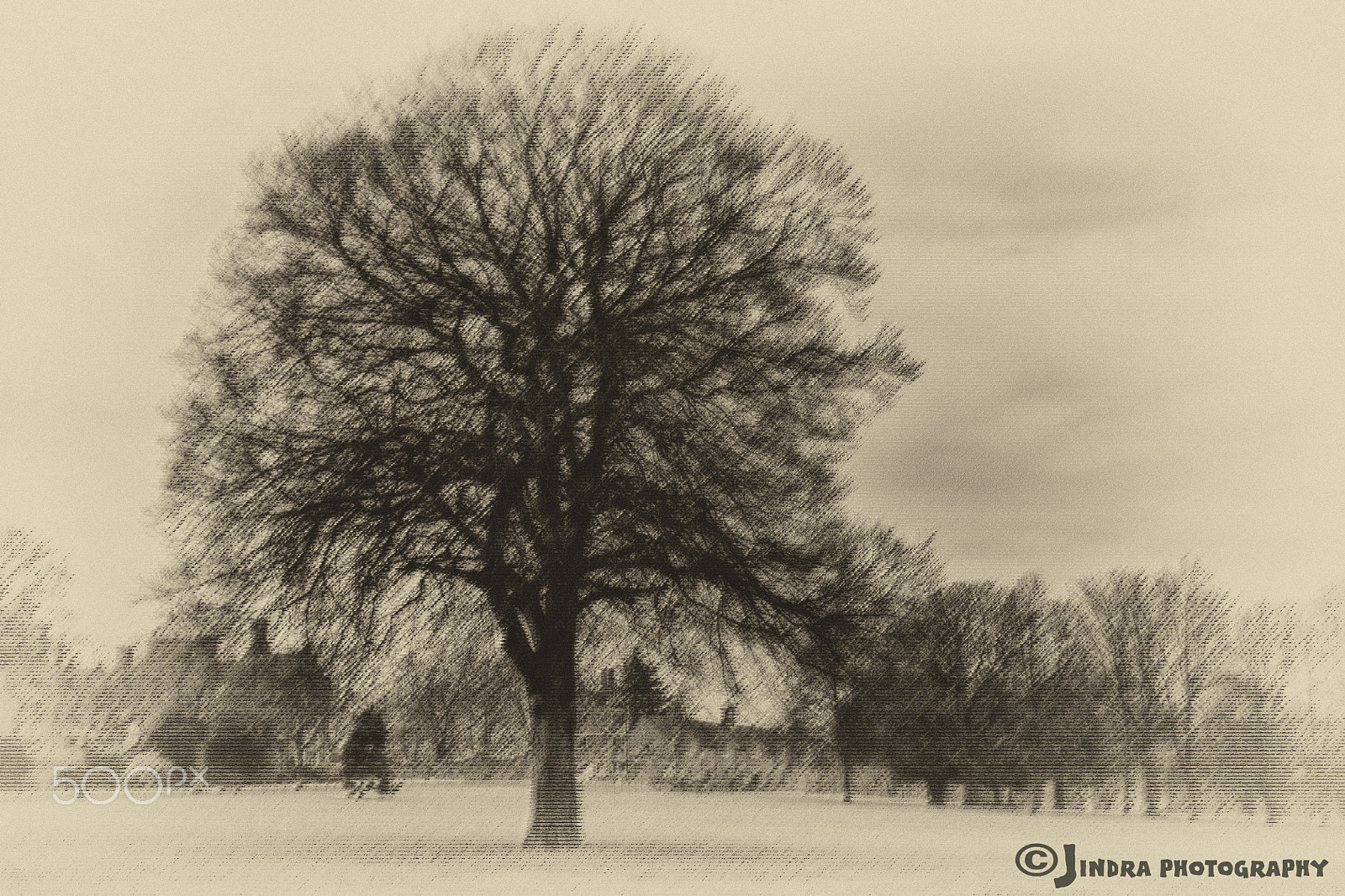 Canon EF-S 18-55mm F3.5-5.6 sample photo. Aston park photography