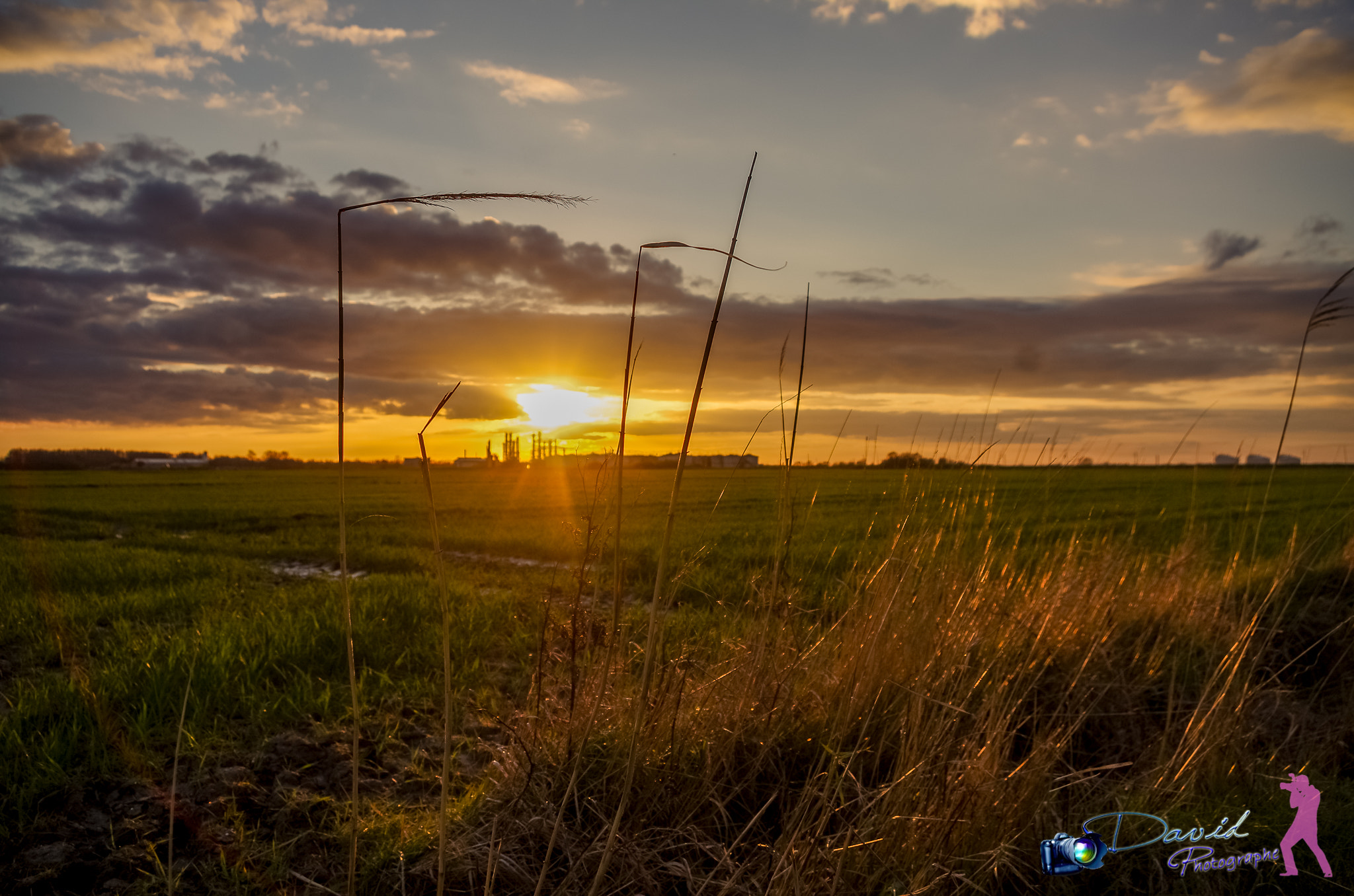 Pentax K-5 sample photo