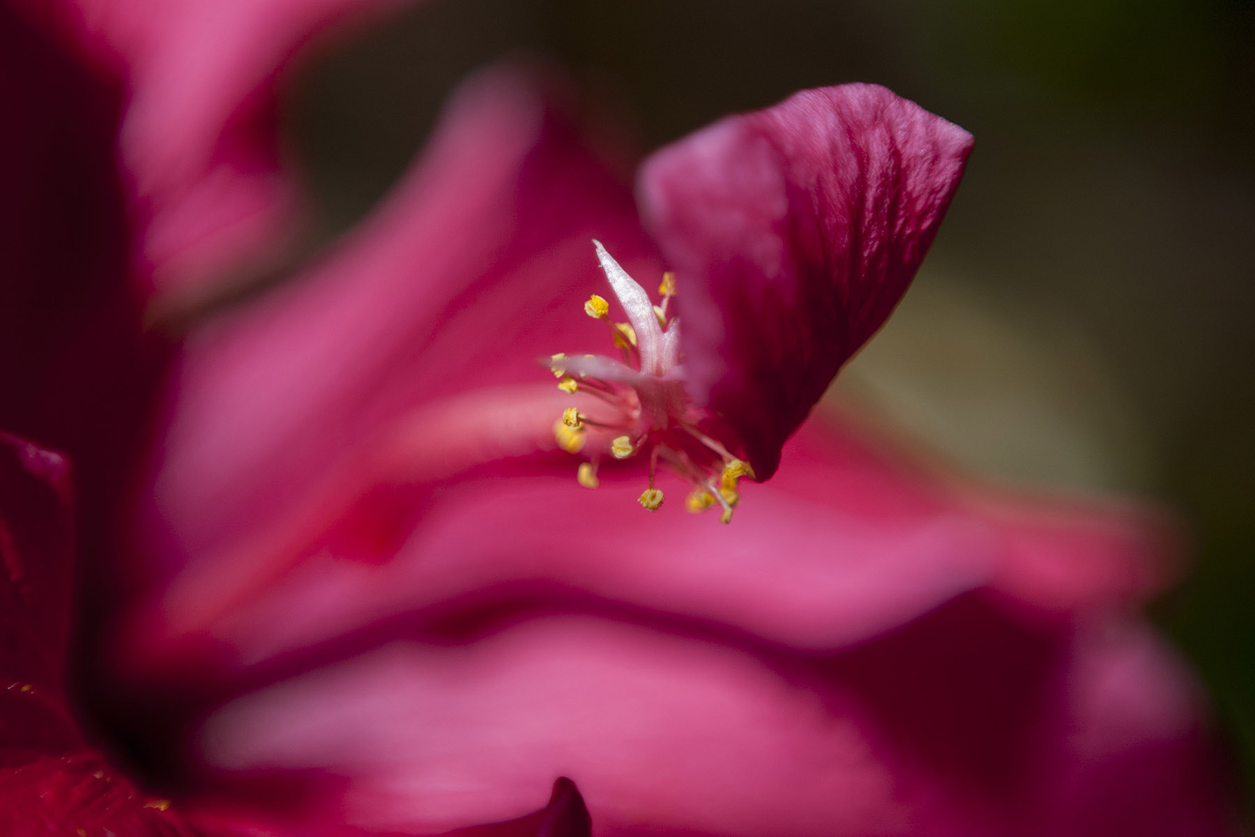 Sigma 50-150mm F2.8 EX APO DC HSM sample photo. Dsc_0014_2.jpg photography