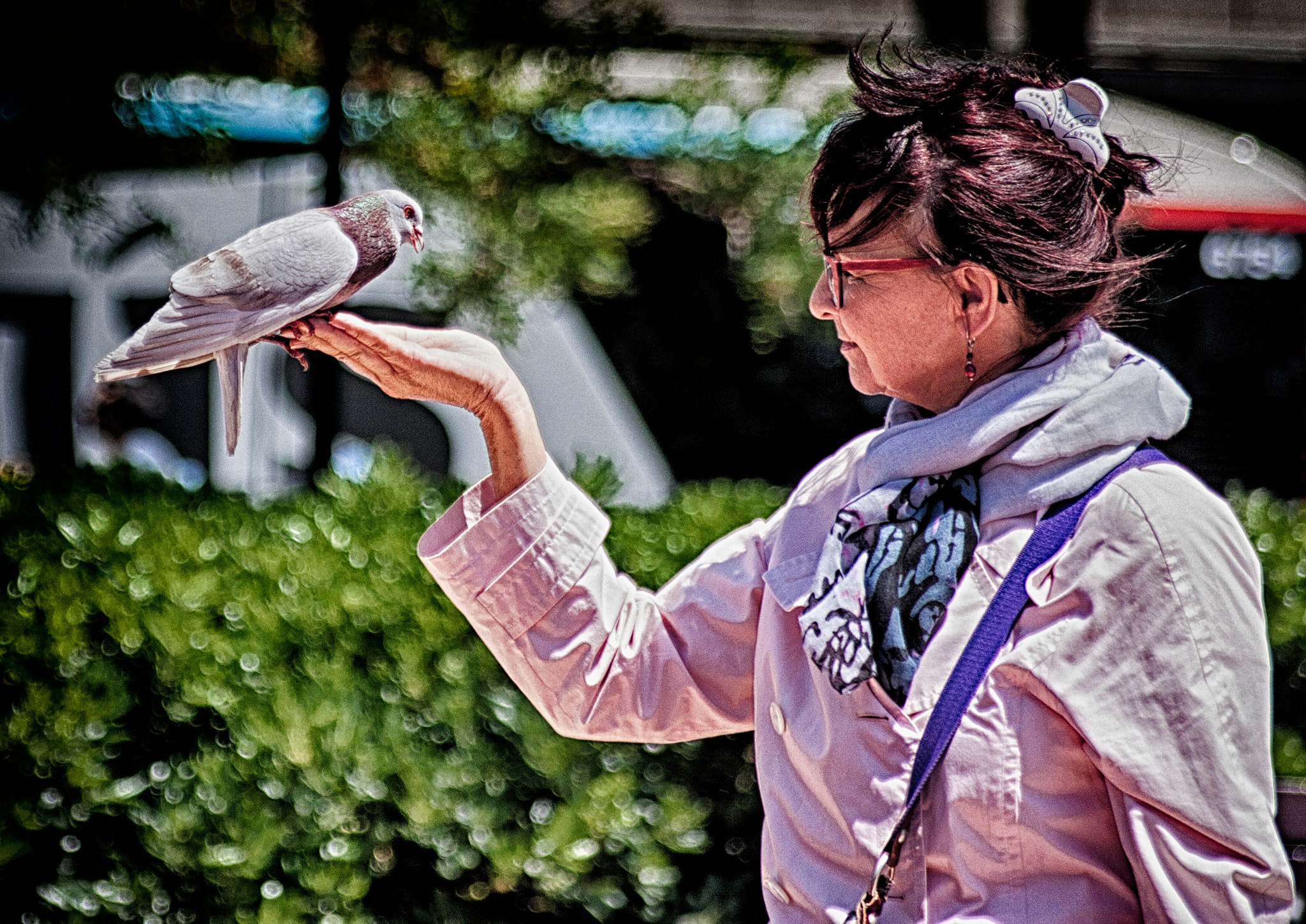 Sigma 55-200mm f/4-5.6 DC sample photo. The woman whisperer pigeons photography