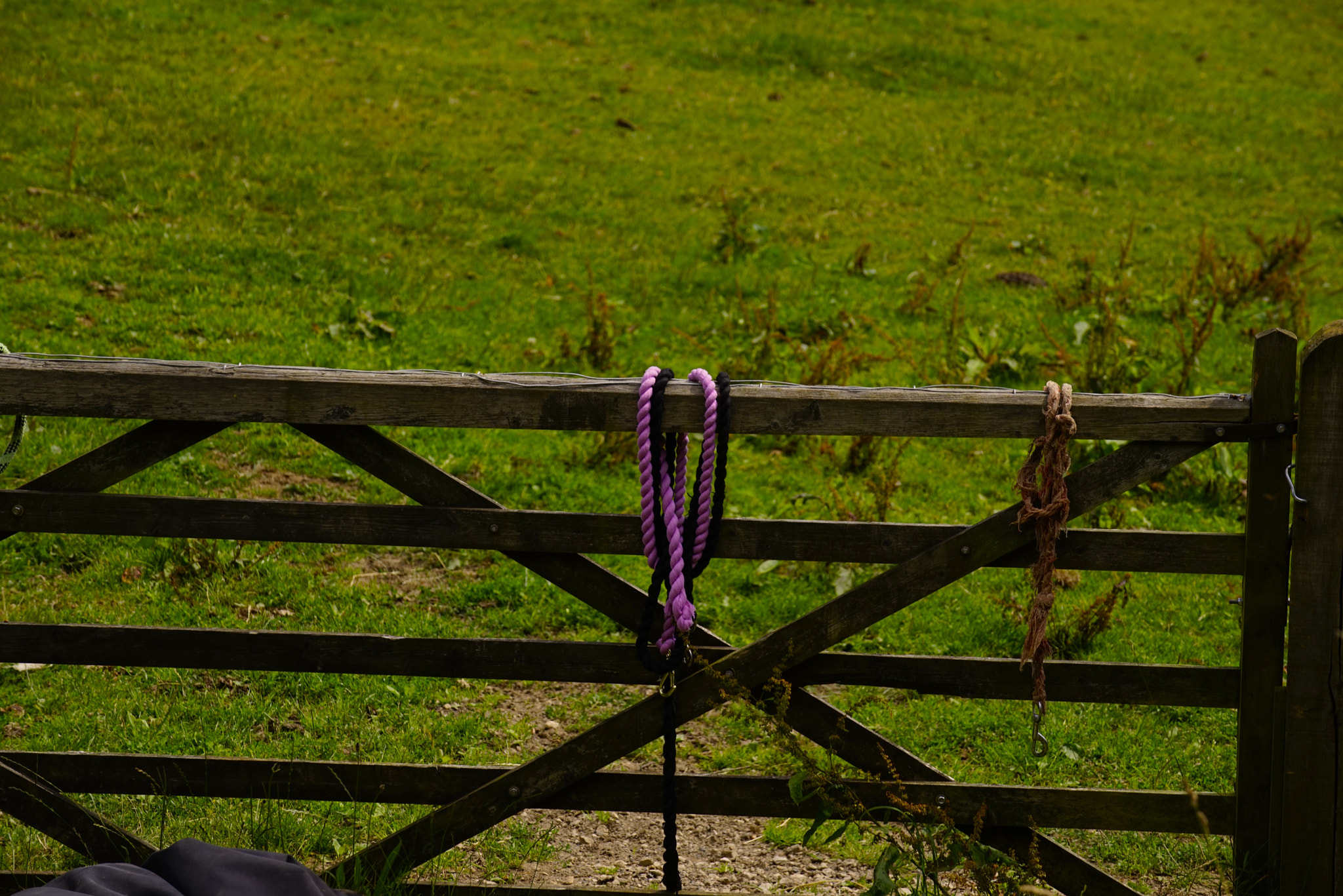 Tamron SP 70-300mm F4-5.6 Di USD sample photo. Naunton path.jpg photography