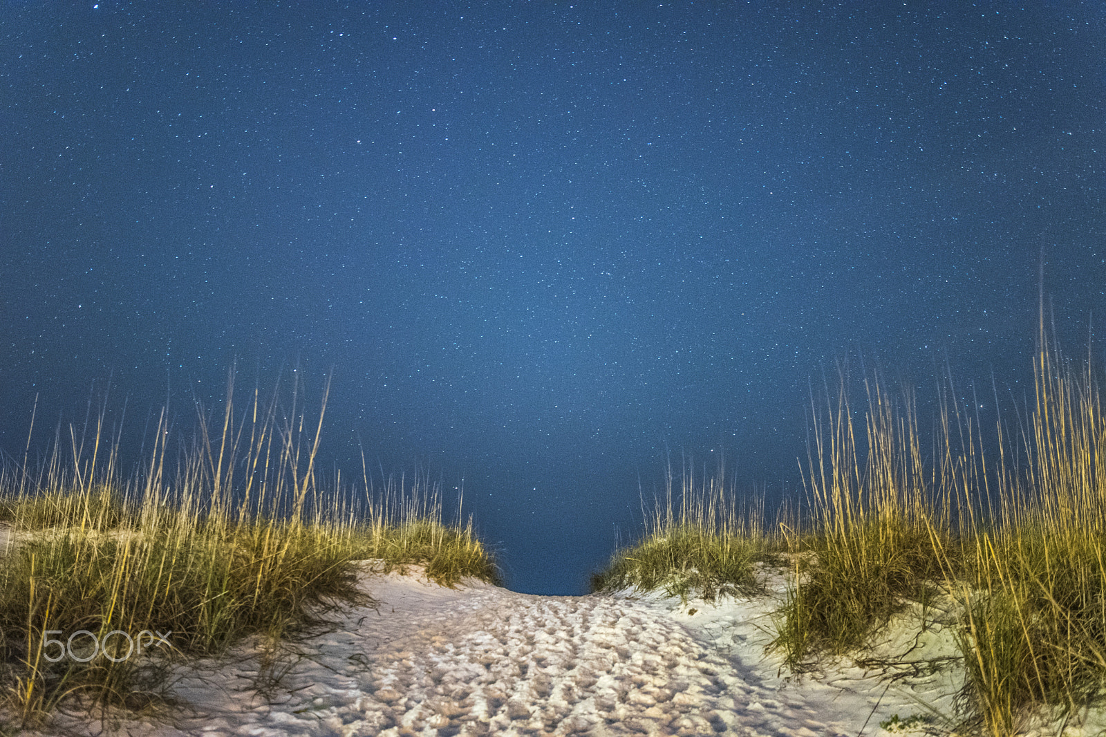 Nikon D5300 + Samyang 16mm F2 ED AS UMC CS sample photo. Stars - pensacola beach photography