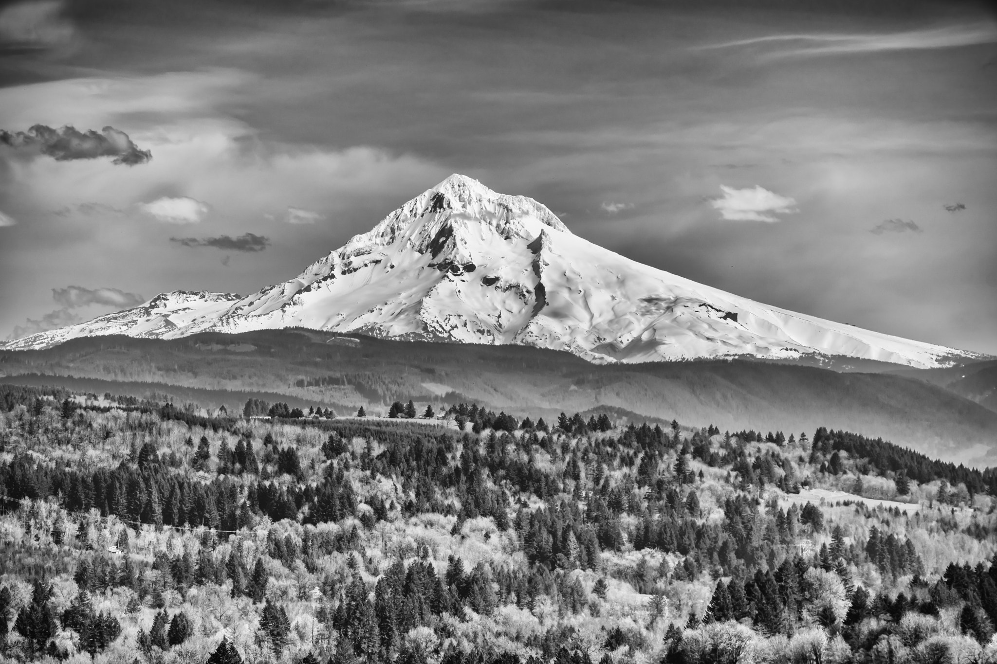 Sony a7 II + 70-200mm F2.8 sample photo. Mt. hood - black and white photography