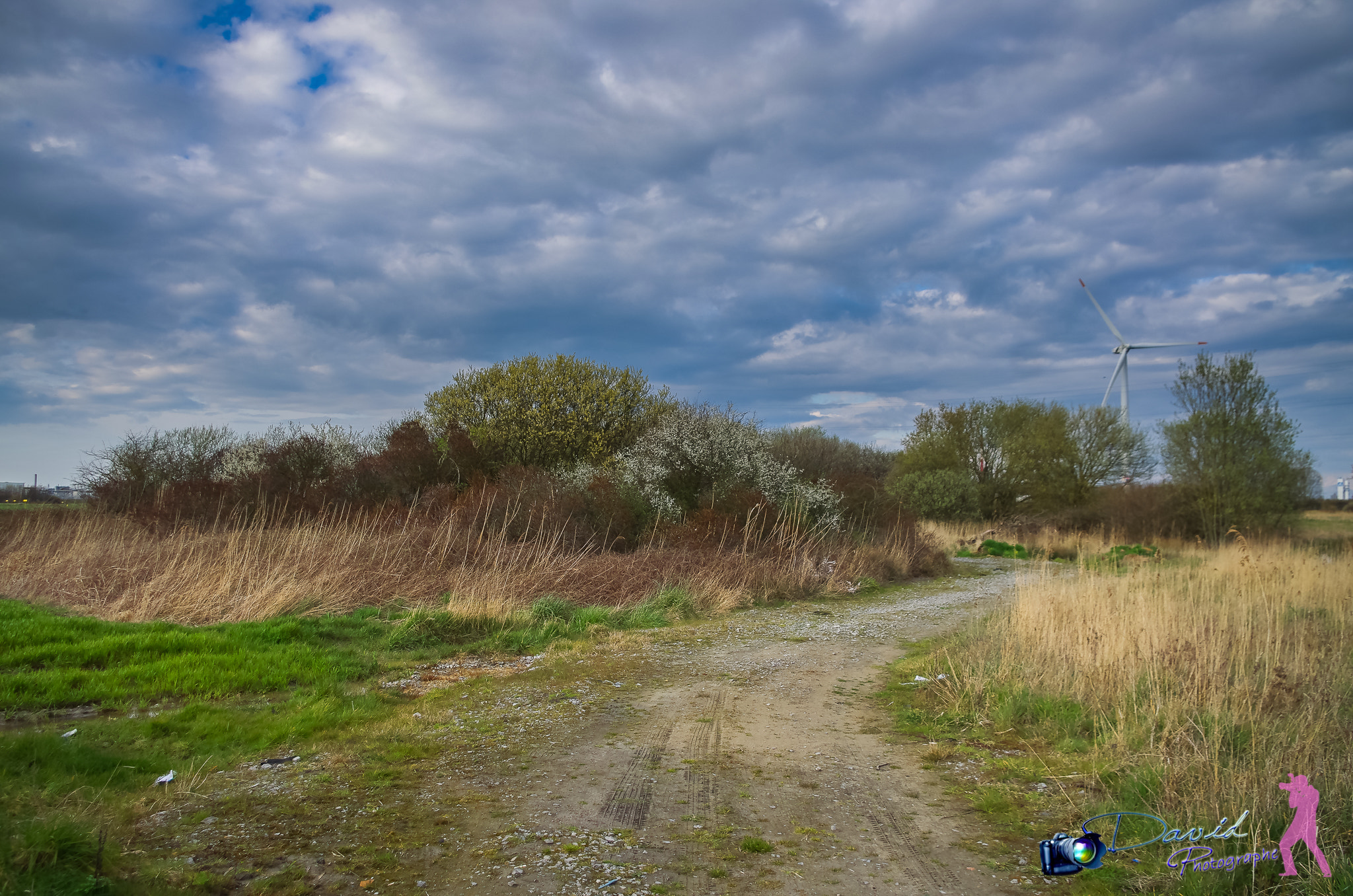 Pentax K-5 sample photo