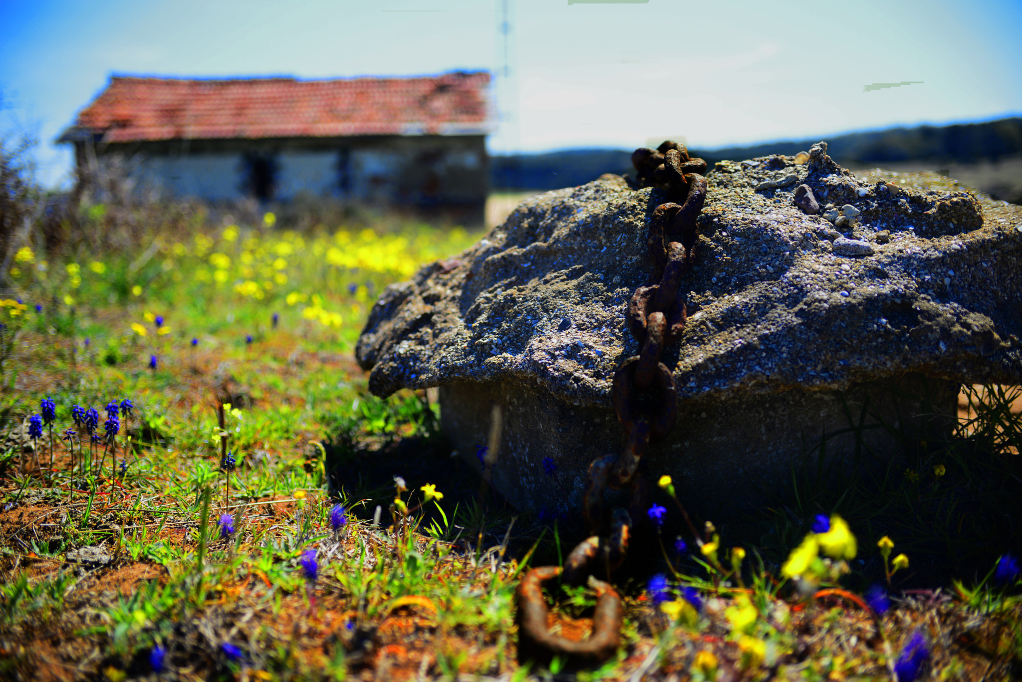 Nikon D800 + AF Zoom-Nikkor 35-70mm f/2.8D sample photo. Break the chains... photography