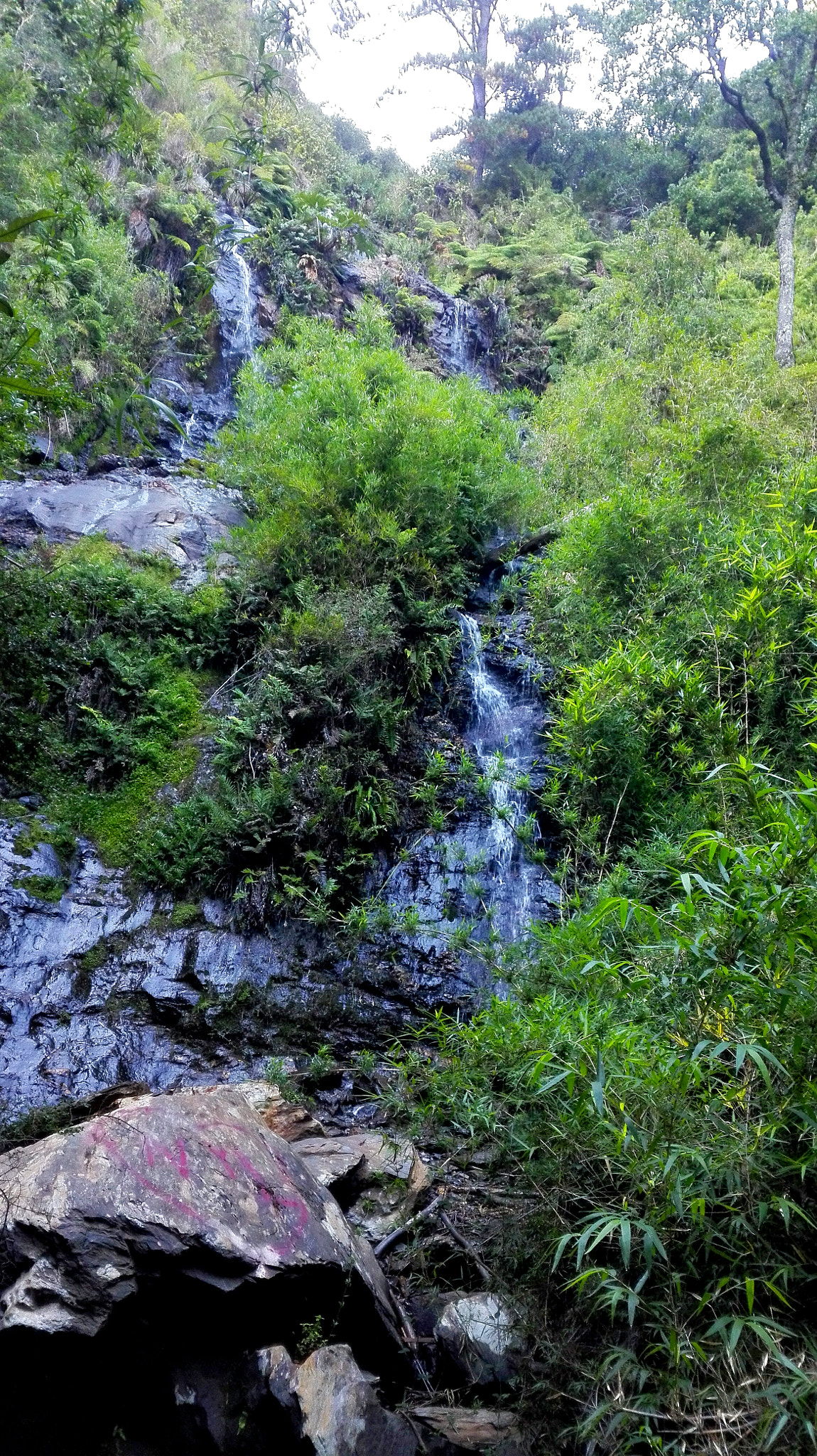 HUAWEI CHC-U03 sample photo. Cascada escondida photography