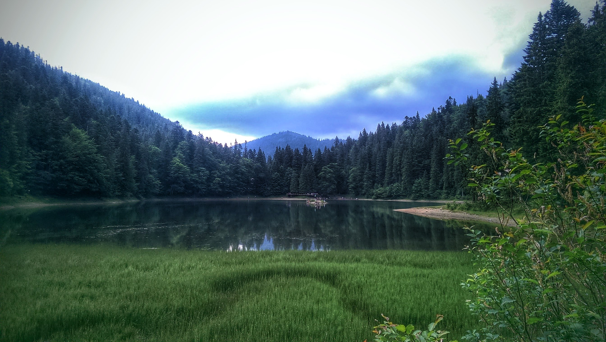 HTC ONE MINI sample photo. Synevir lake. ukraine photography
