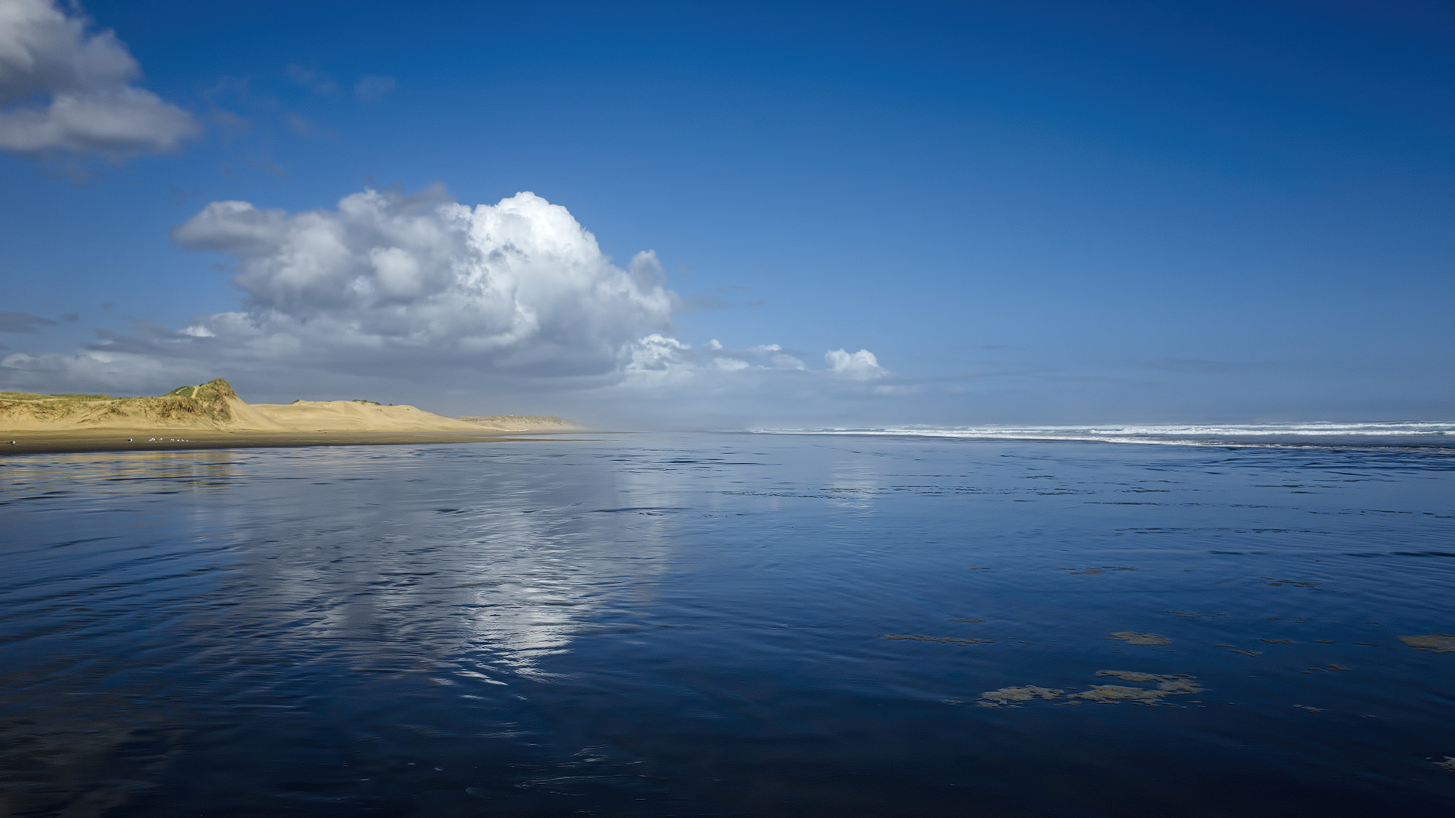 Ricoh GR + Pentax smc DA* 16-50mm F2.8 ED AL (IF) SDM sample photo. Ninety mile beach photography