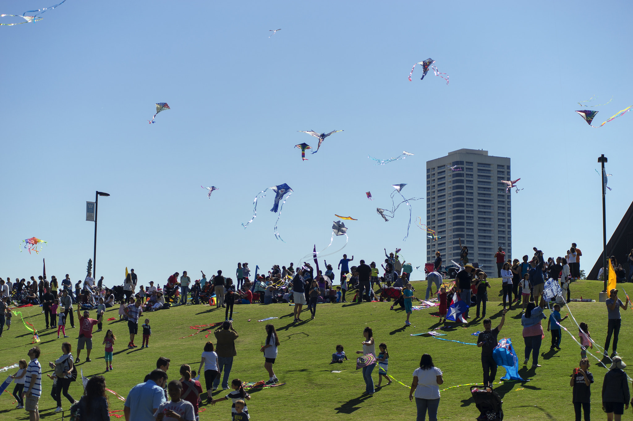 Sony a7 + Minolta AF 70-210mm F4 Macro sample photo. Kite festival 2016 in herman park houston photography
