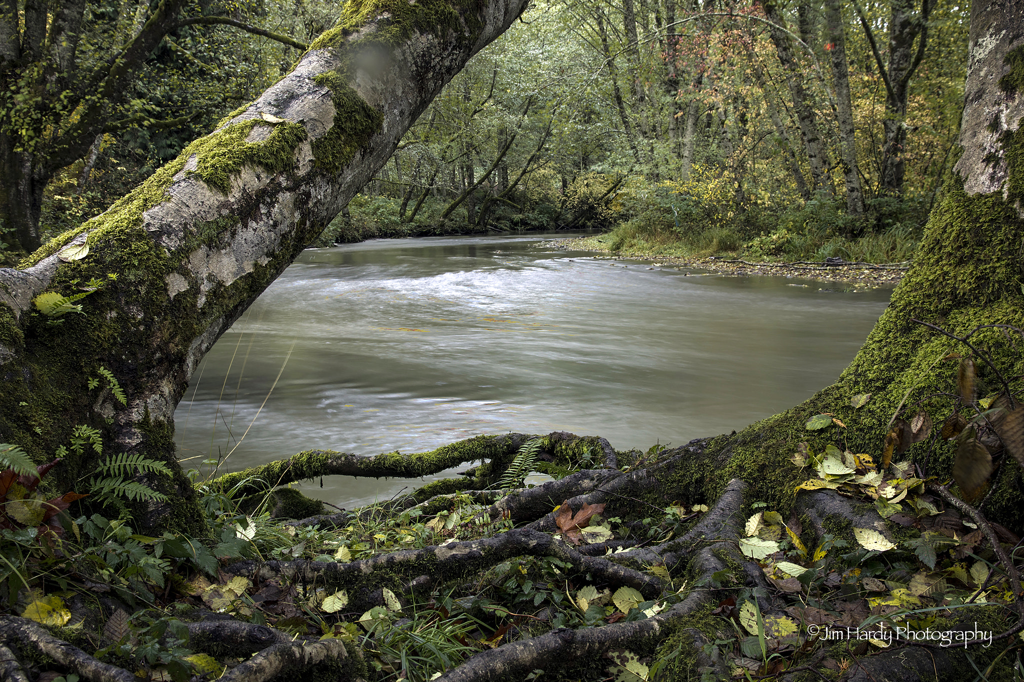 Canon EOS 550D (EOS Rebel T2i / EOS Kiss X4) sample photo. Skookumchuck river photography