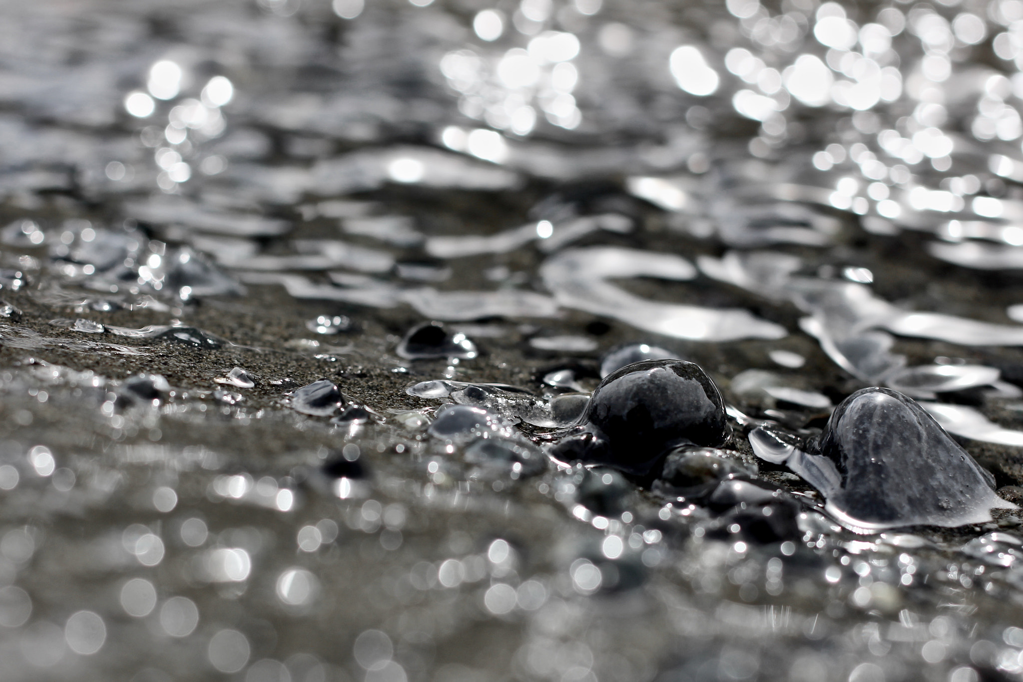 Canon EF 40mm F2.8 STM sample photo. By the beach photography