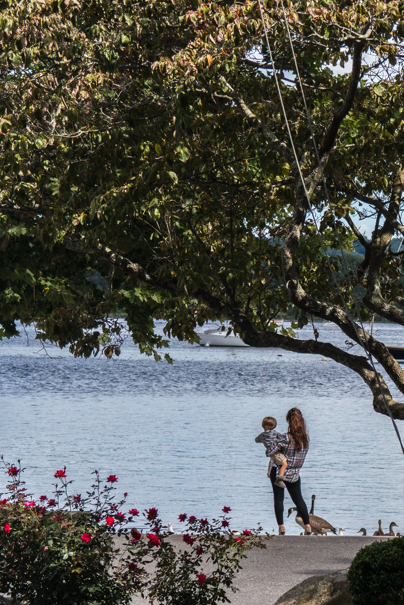 Samsung NX1000 + Samsung NX 18-55mm F3.5-5.6 OIS sample photo. By the river photography