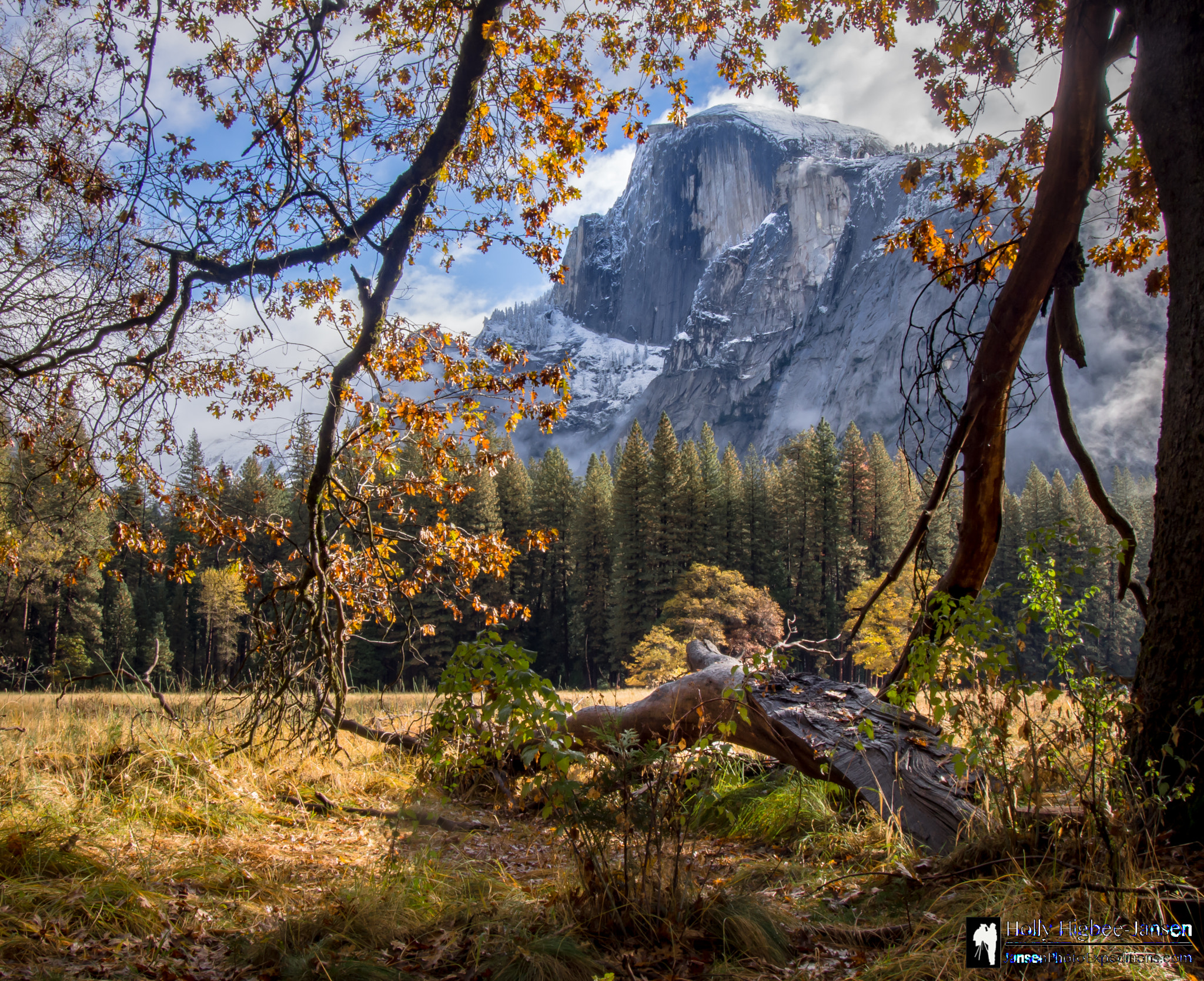 Olympus OM-D E-M5 sample photo. Yosemite half dome view photography