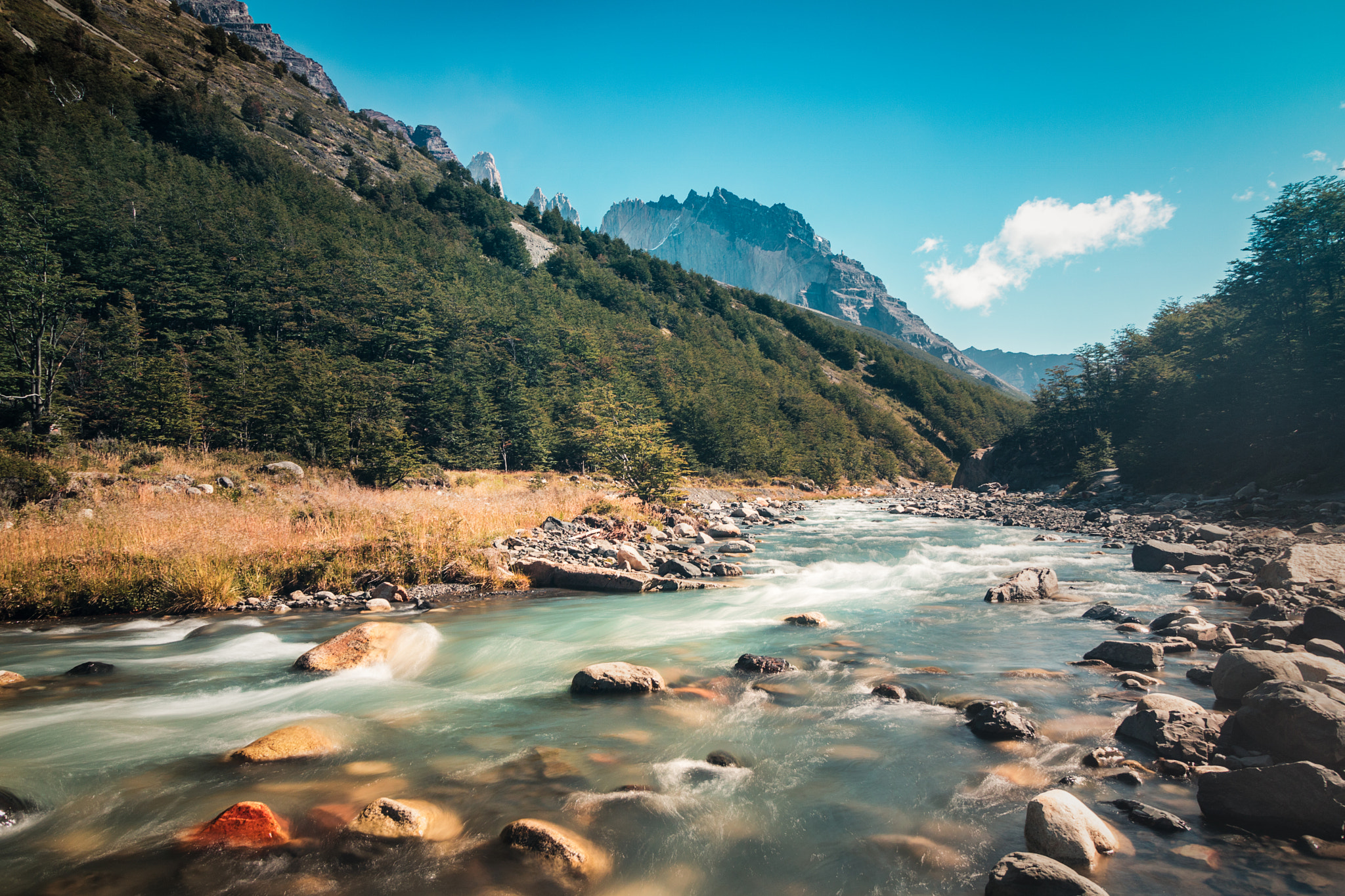 Canon EOS 760D (EOS Rebel T6s / EOS 8000D) sample photo. The river photography