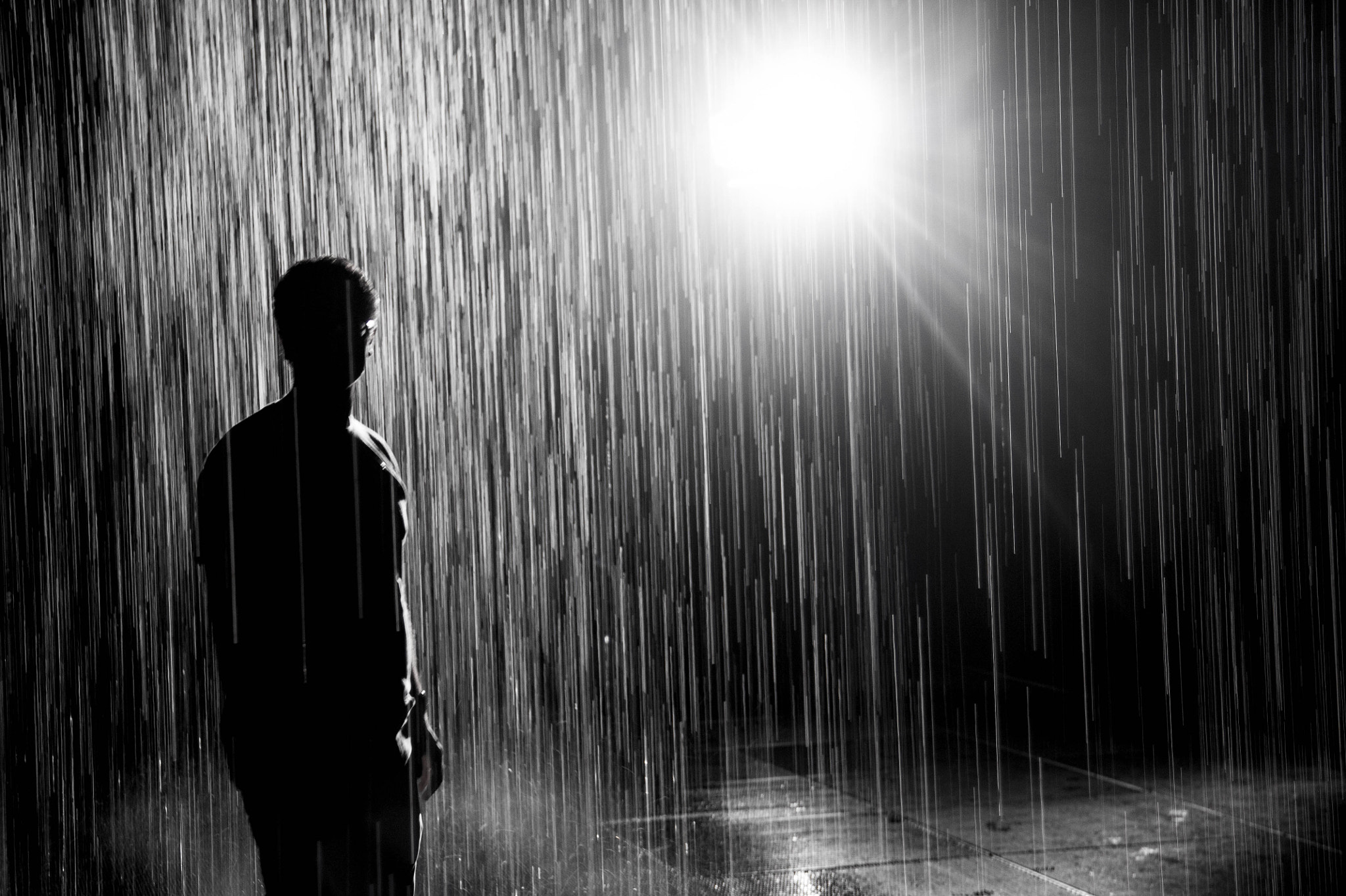 Canon EOS 450D (EOS Rebel XSi / EOS Kiss X2) sample photo. Lacma rain room photography