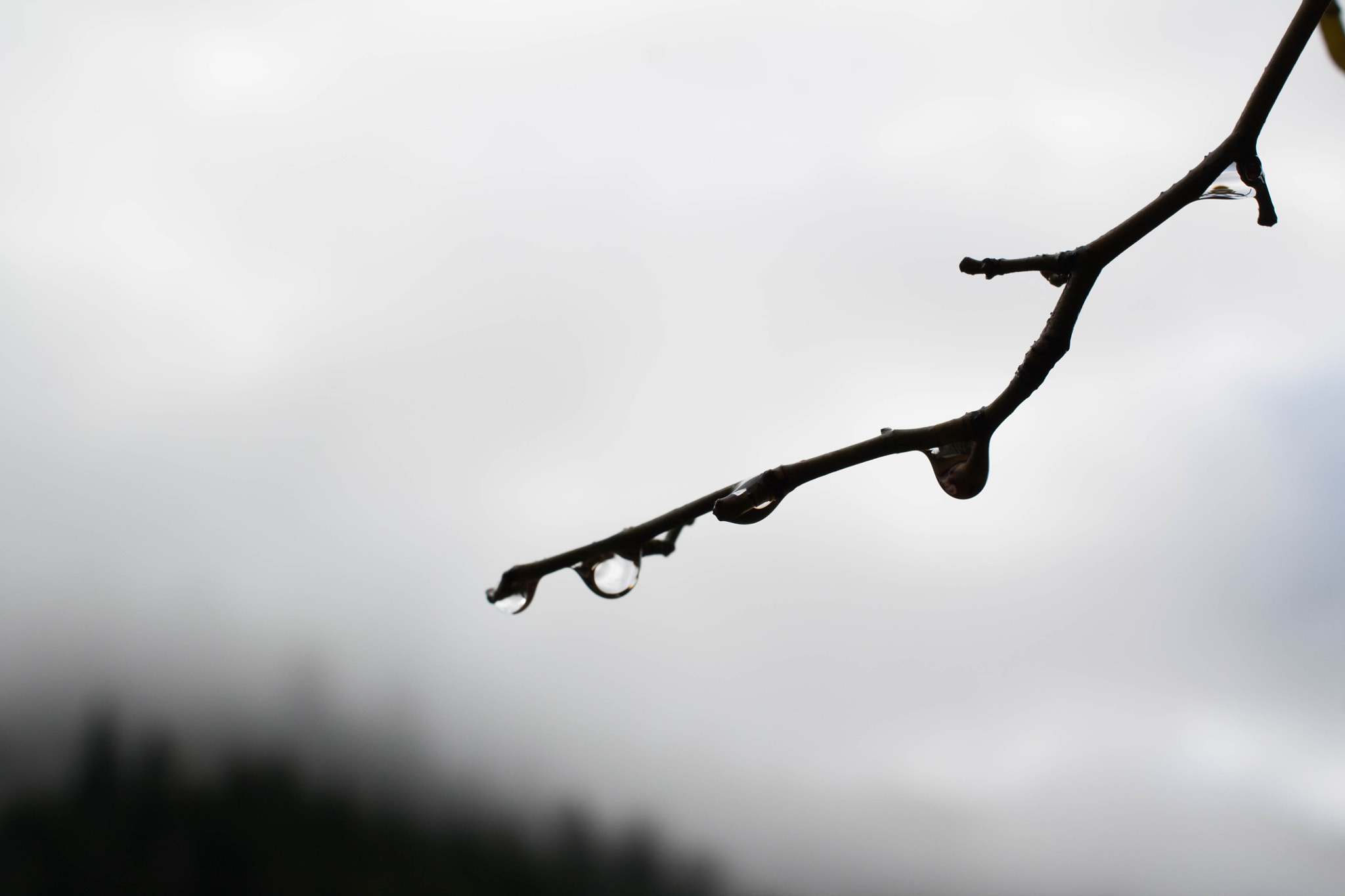Canon EF 40mm F2.8 STM sample photo. Winter serene photography