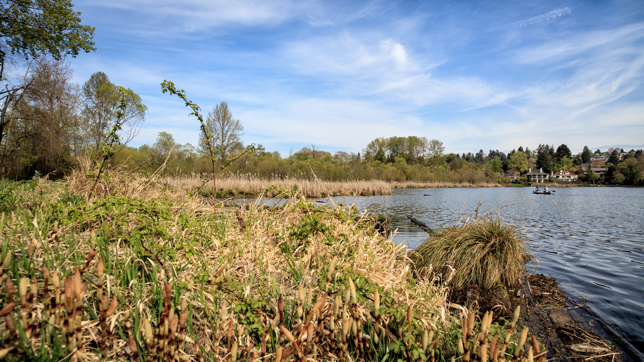 Canon EOS 5DS R sample photo. The montlake fill photography